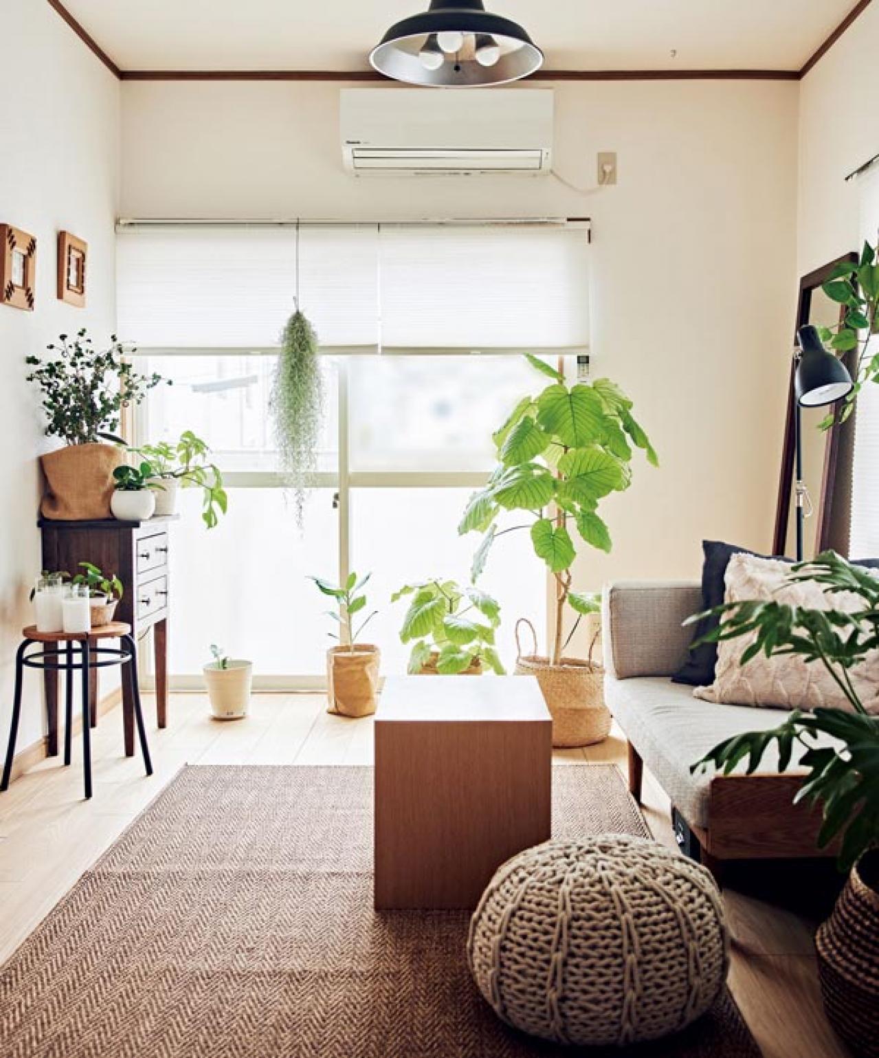 【大人のひとり暮らし】賃貸アパートを植物と家具で好みの空間にして楽しむ、インスタグラマー ようさん（画像2）