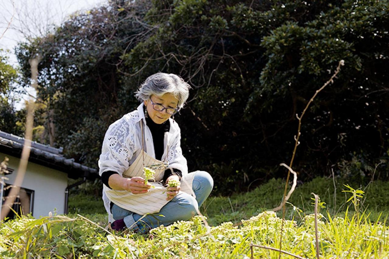 元ミス日本 伊藤千桃さんの暮らし方「小麦粉さえあれば、来客があっても何とかなる！」