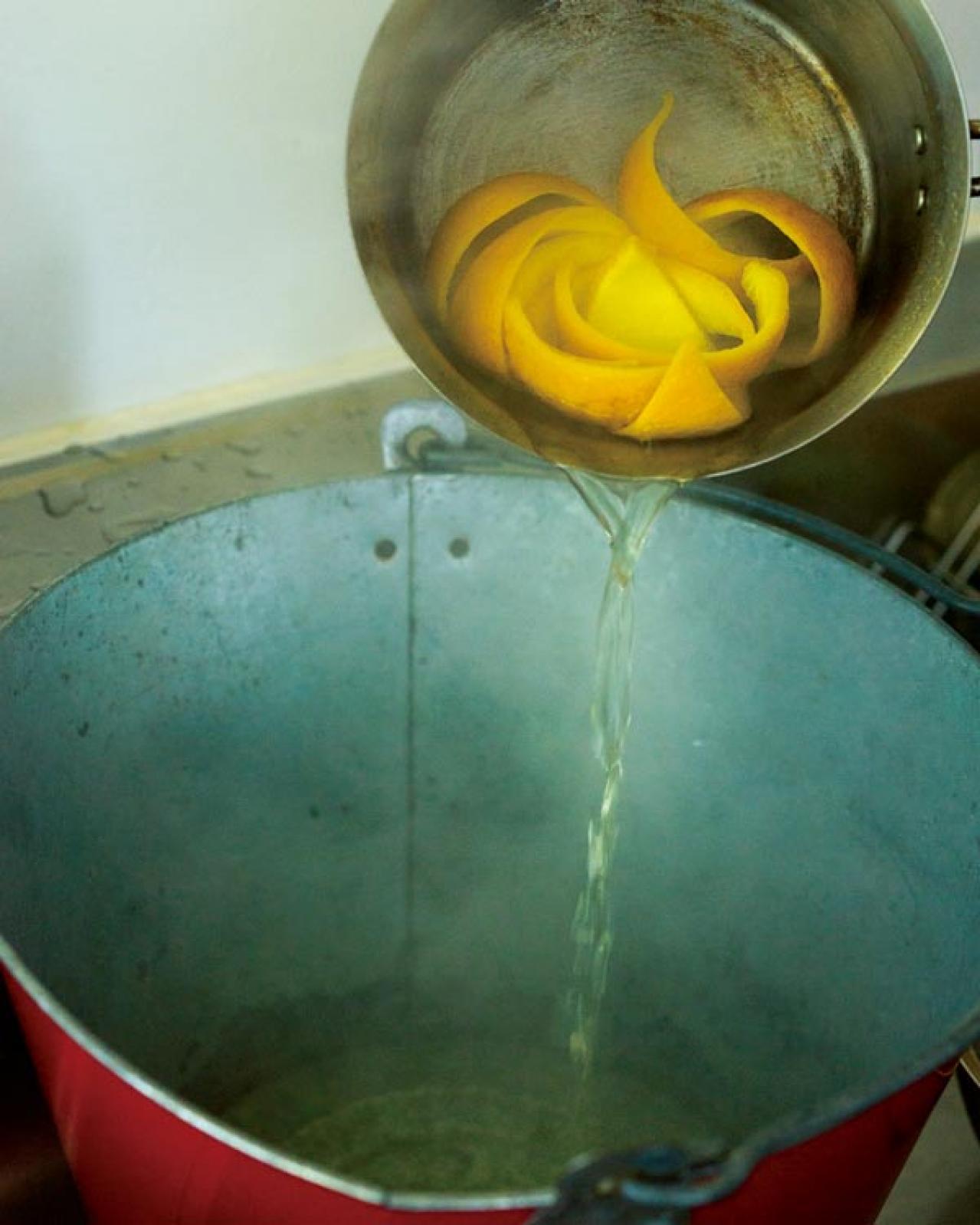 「お金がないから、買うのはお肉くらいです」元ミス日本 伊藤千桃さん70代の心豊かな暮らし方【2024年お金部門TOP10】（画像9）