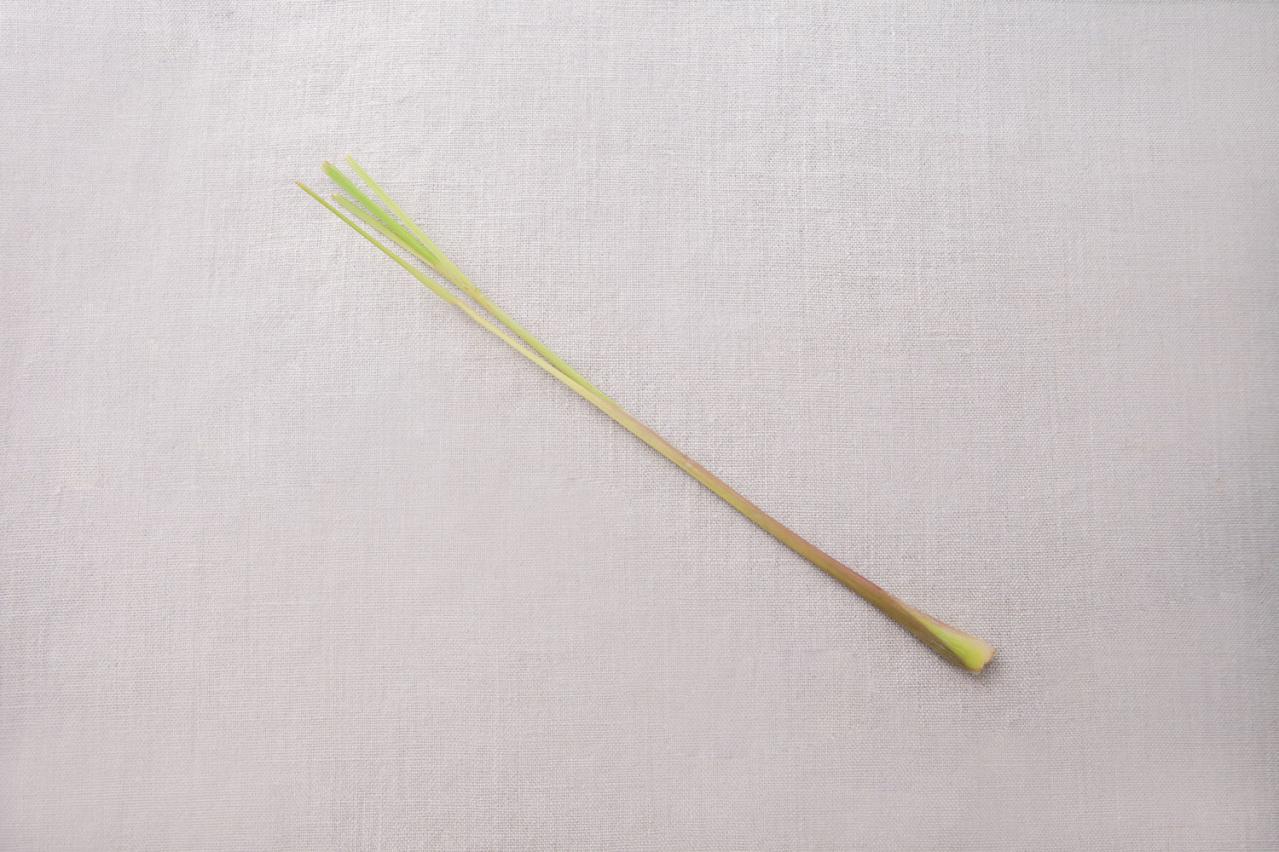 正月飾りにも活用できるハーブ【レモングラス】の栽培方法と活用アイデア2選【ガーデニング】（画像5）