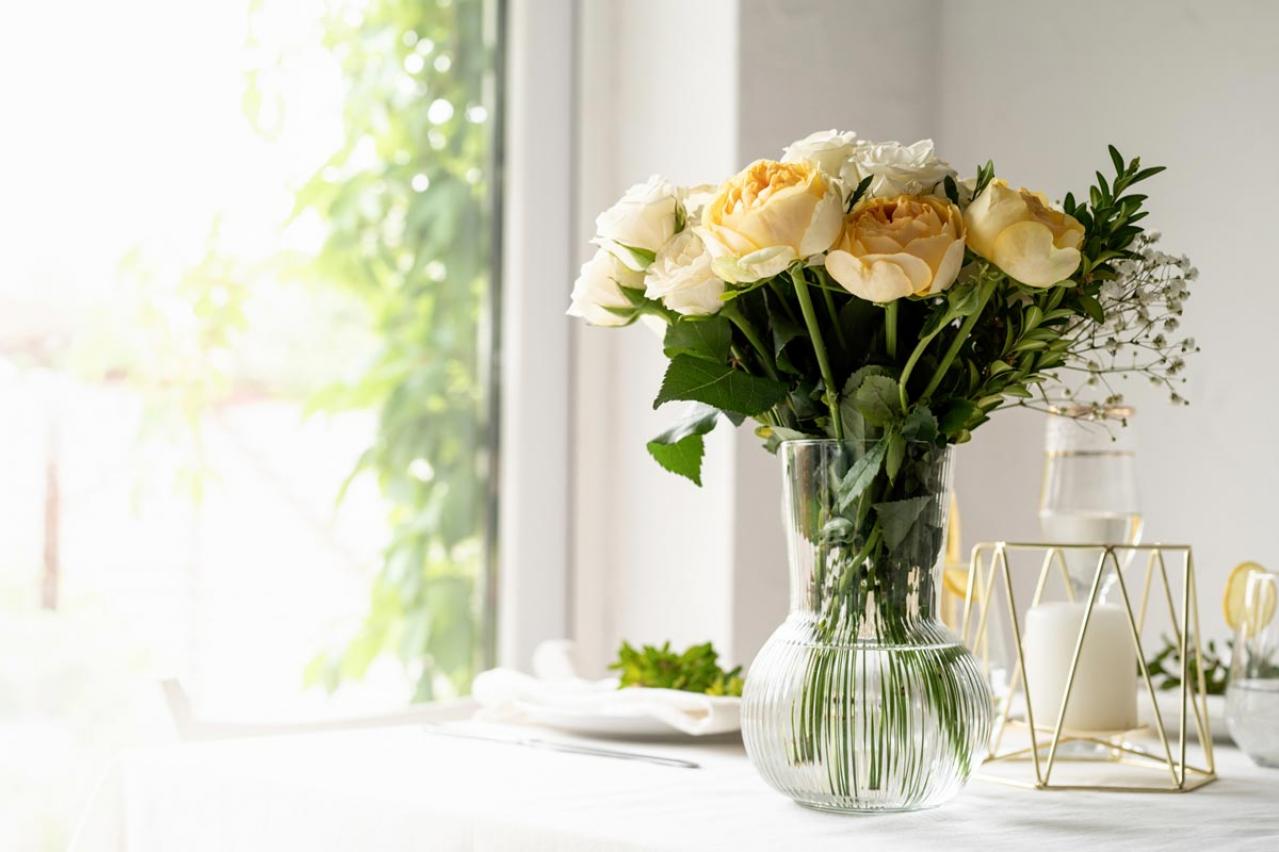 中道あんさん流　2024年は「稼ぐ」「貯める」「増やす」「守る」４つの力を伸ばしたい