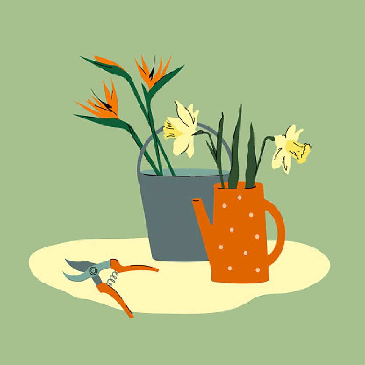 【2024年上半期の運勢】12星座別 山田ありすのHAPPY占い【蟹座】（画像3）