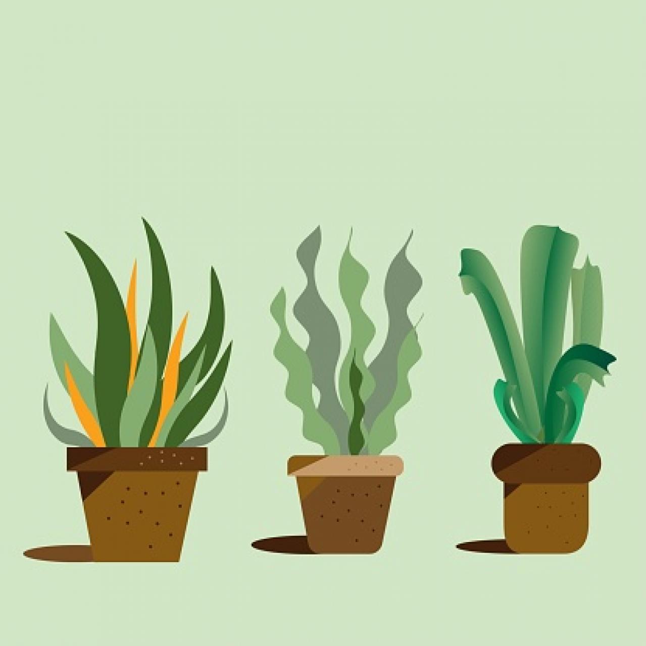 【2024年上半期の運勢】12星座別 山田ありすのHAPPY占い【獅子座】（画像3）