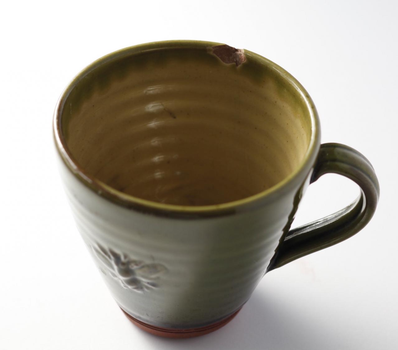 【洋ラン】植え替えずにOK！ 部屋が華やぐ吉谷桂子さん流の飾り方【冬に咲く花】（画像4）