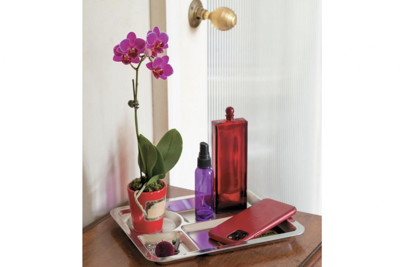 【洋ラン】植え替えずにOK！ 部屋が華やぐ吉谷桂子さん流の飾り方【冬に咲く花】