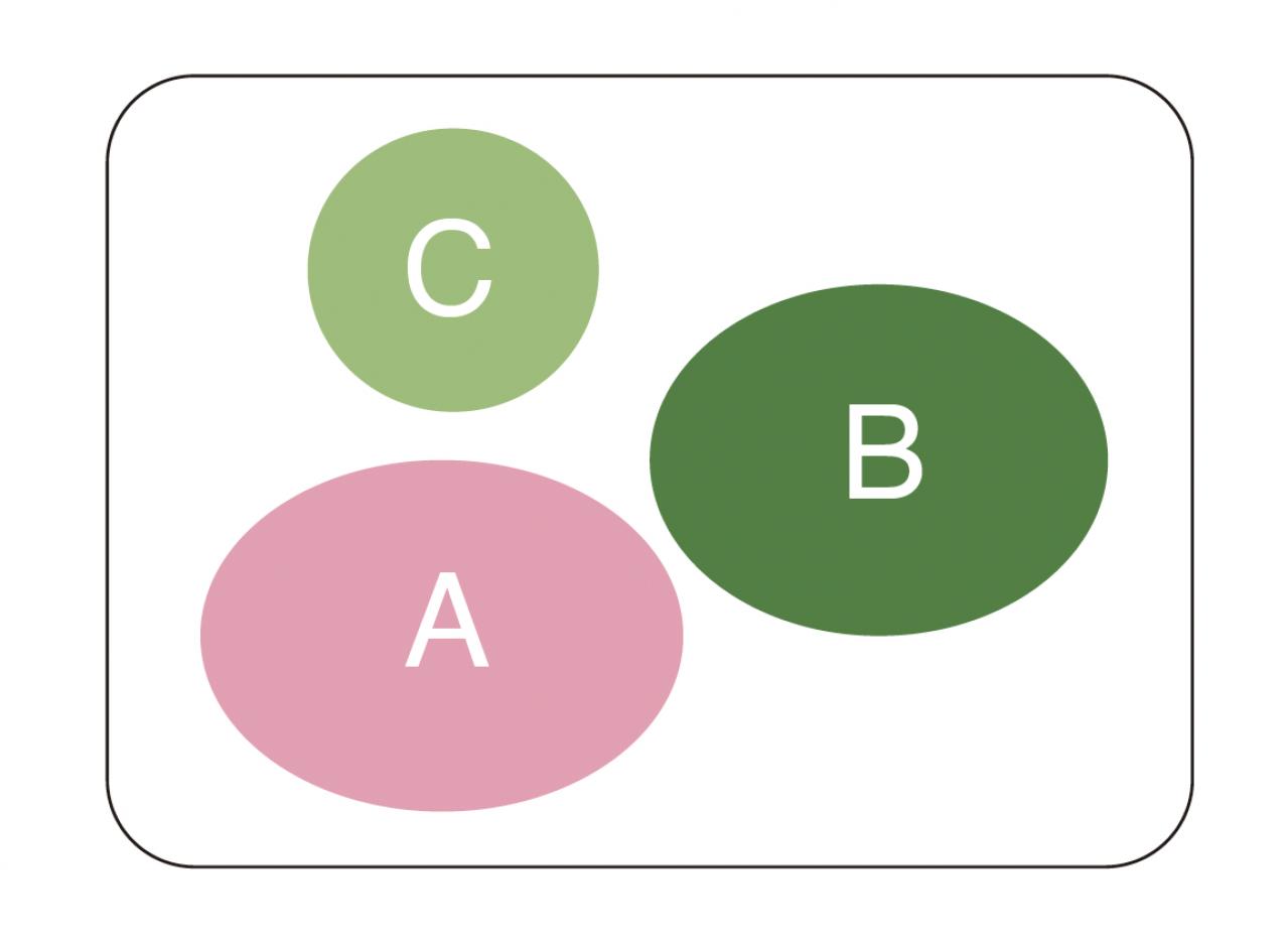 【洋ラン】相性のよいシダ植物との寄せ植え＆寄せ置きでより魅力的！（画像7）