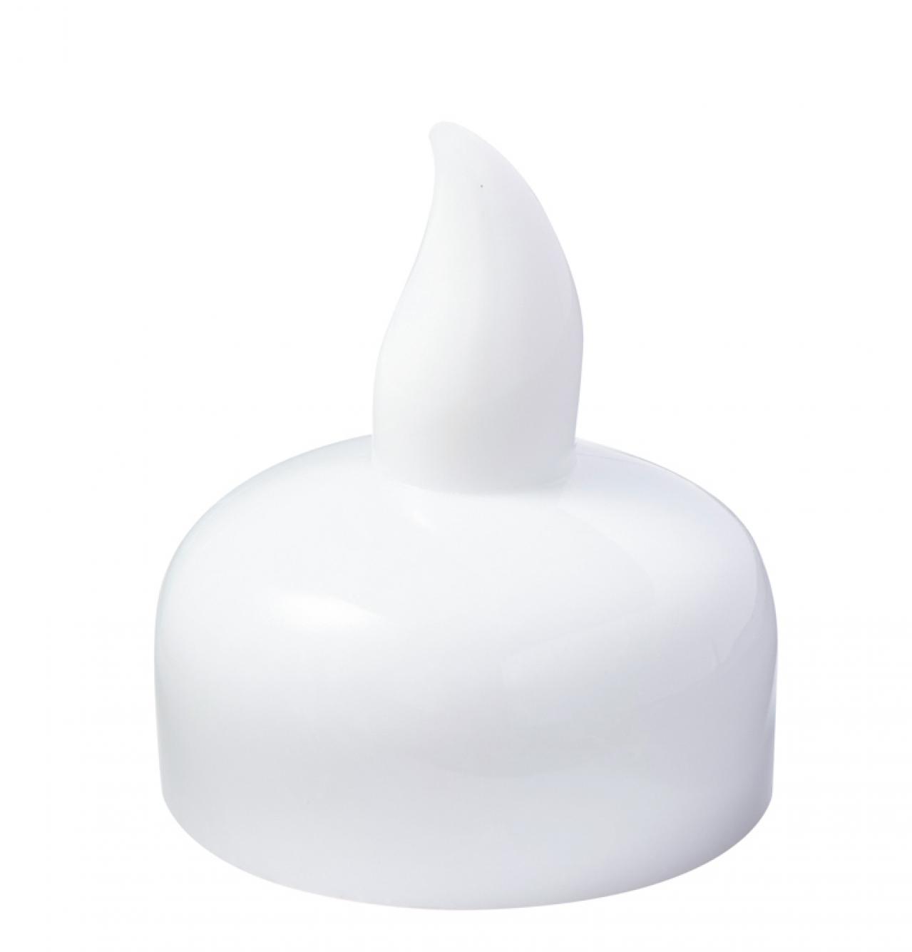 【洋ラン】相性のよいシダ植物との寄せ植え＆寄せ置きでより魅力的！（画像4）