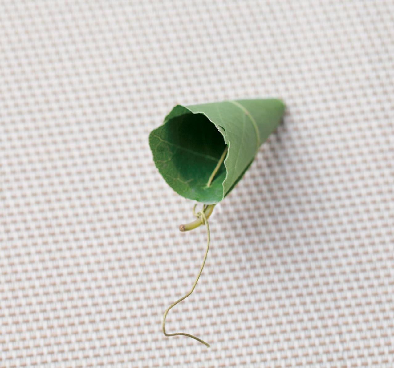 【ハーブガーデニング】料理にもクラフトにも使えて楽しい【ベイ】の栽培方法と活用アイデア3選（画像9）