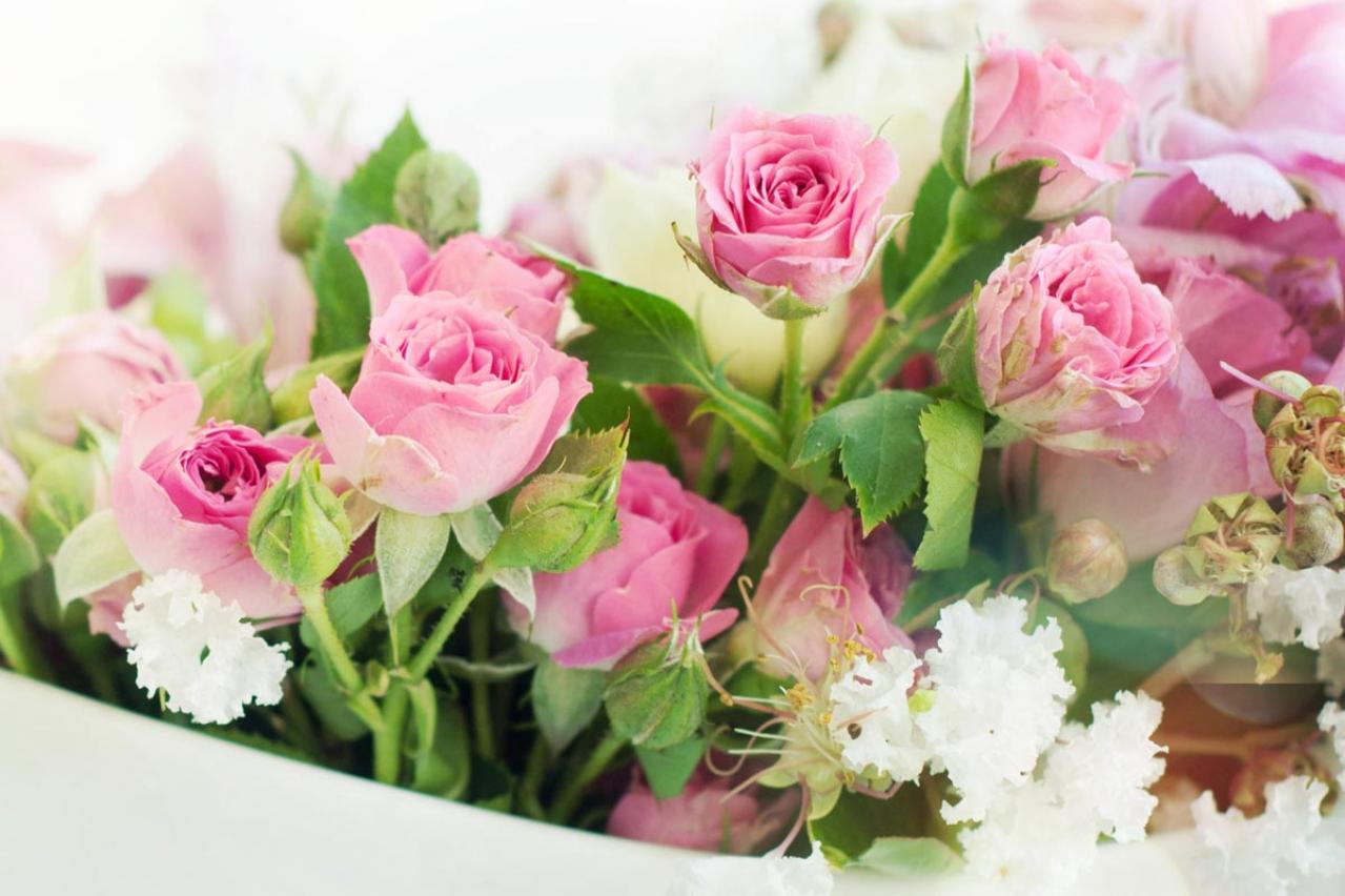 【ガーデニング】バラの休眠期のお手入れは？冬ならではの病害虫予防も