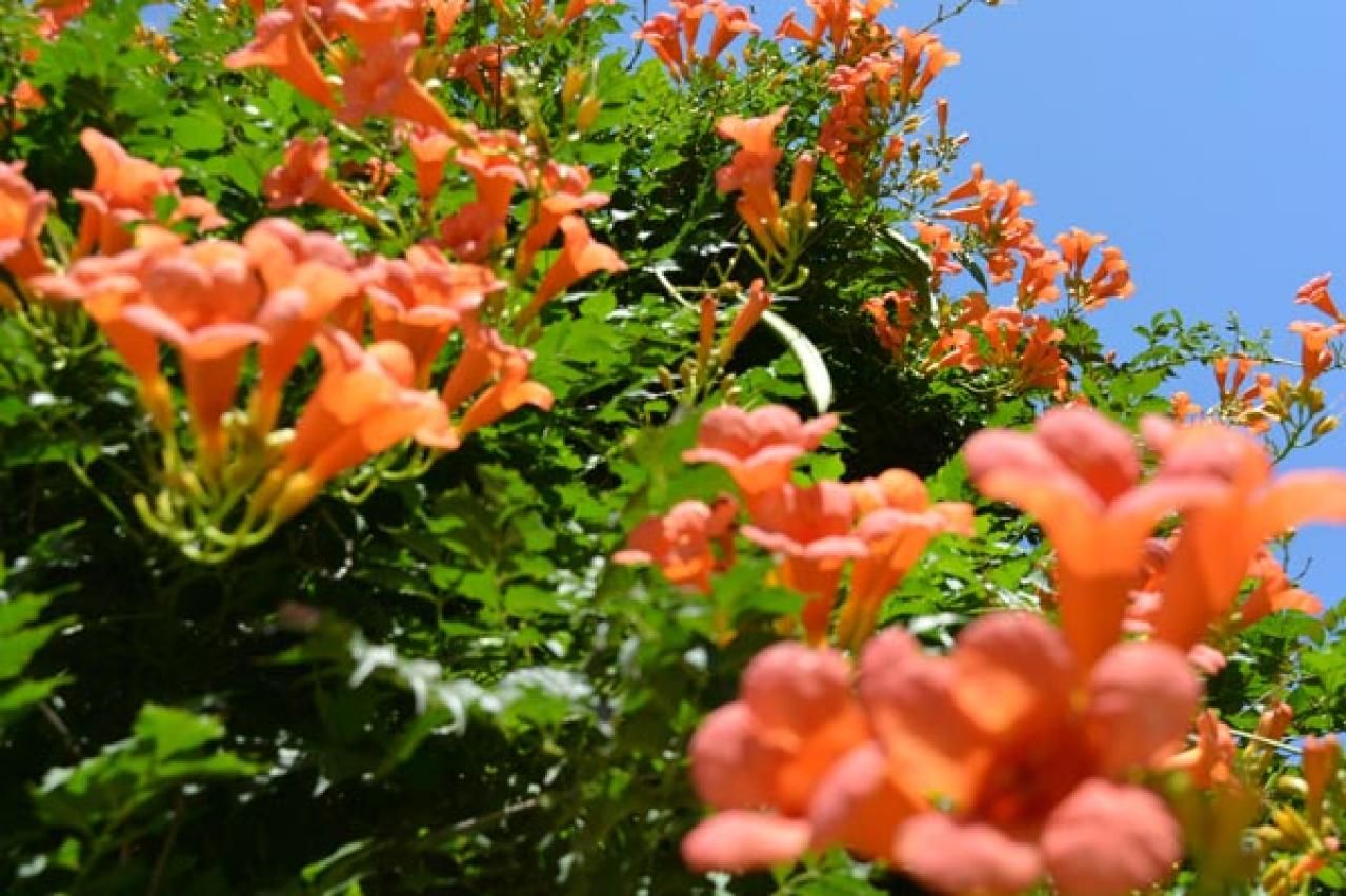 「御史（オサ）とジョイ」イオン（2PMのテギョン）たちの珍道中に心癒される。1～6話レビュー【韓国ドラマ】（画像2）