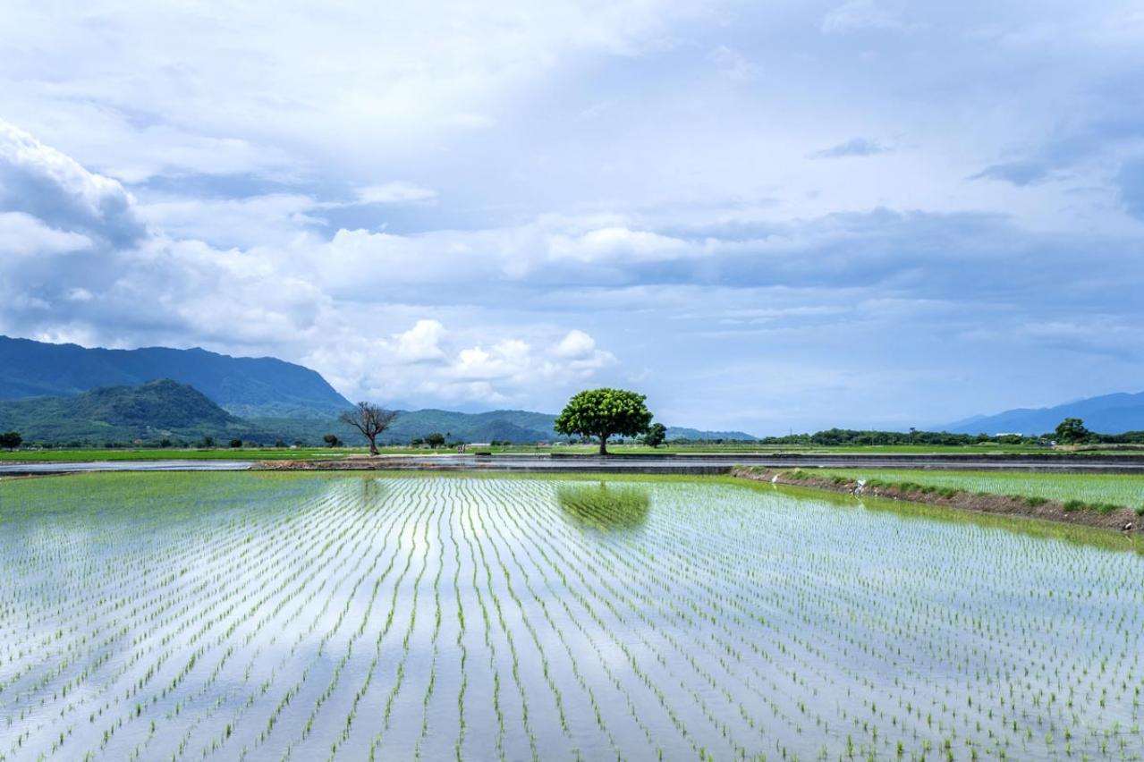 88歳 現役医師 帯津良一さんが実感する「持たない暮らしは案外と気楽」