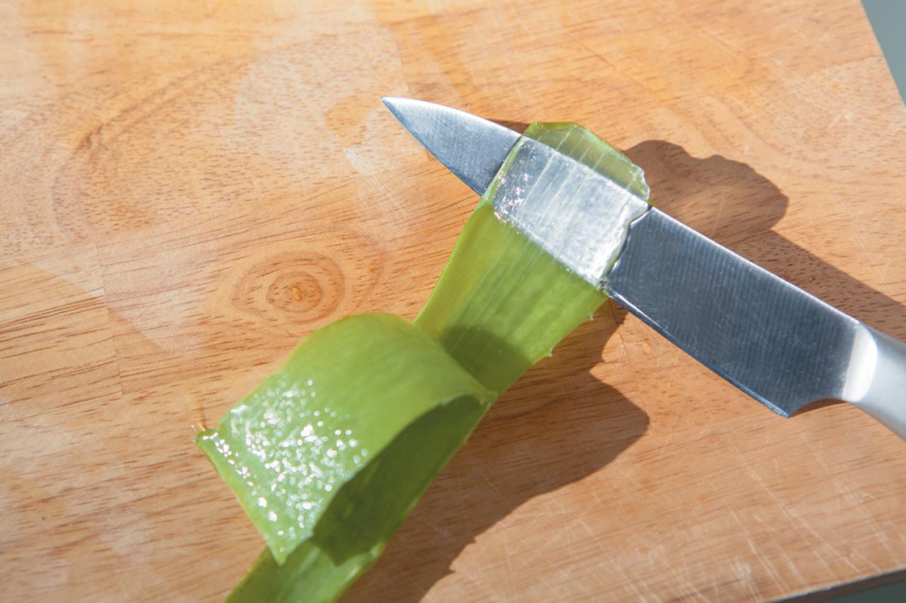 【ハーブガーデニング】薬用、食用、美容に幅広く使える【アロエ・ベラ】の栽培方法と活用アイデア2選（画像7）