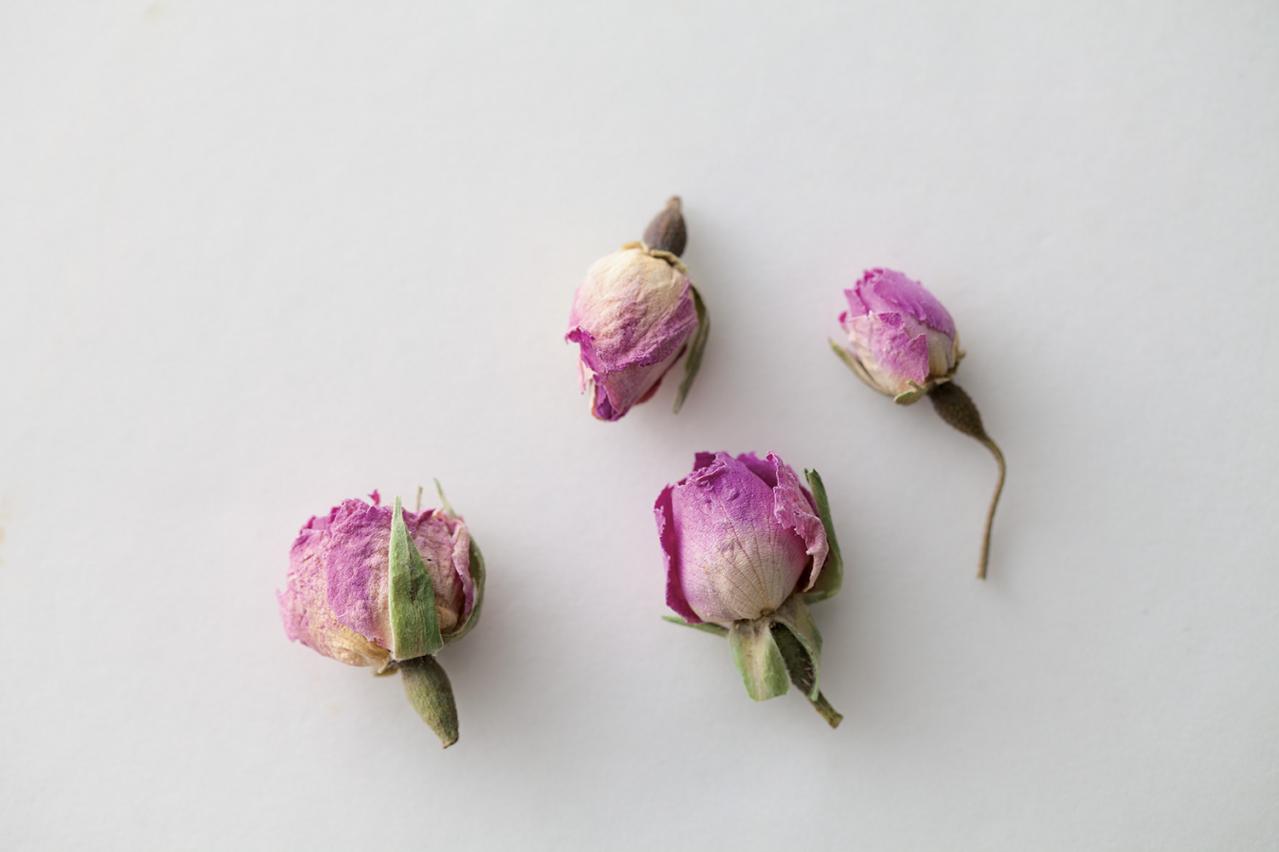 【ガーデニング】育てて楽しいハーブ【ローズ】の栽培方法と活用アイデア4選（画像3）