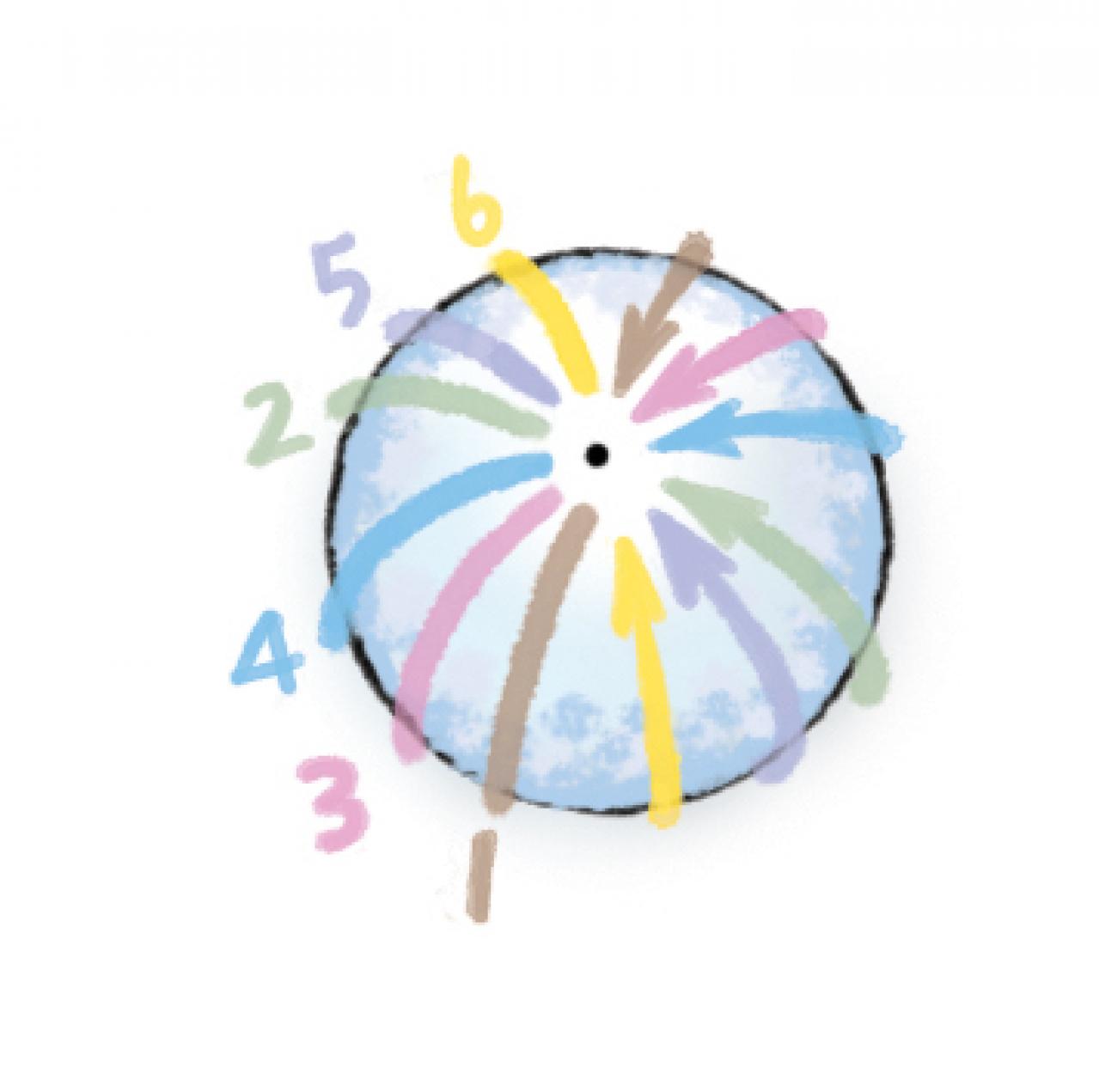 【ガーデニング】育てて楽しいハーブ【ローズ】の栽培方法と活用アイデア4選（画像9）