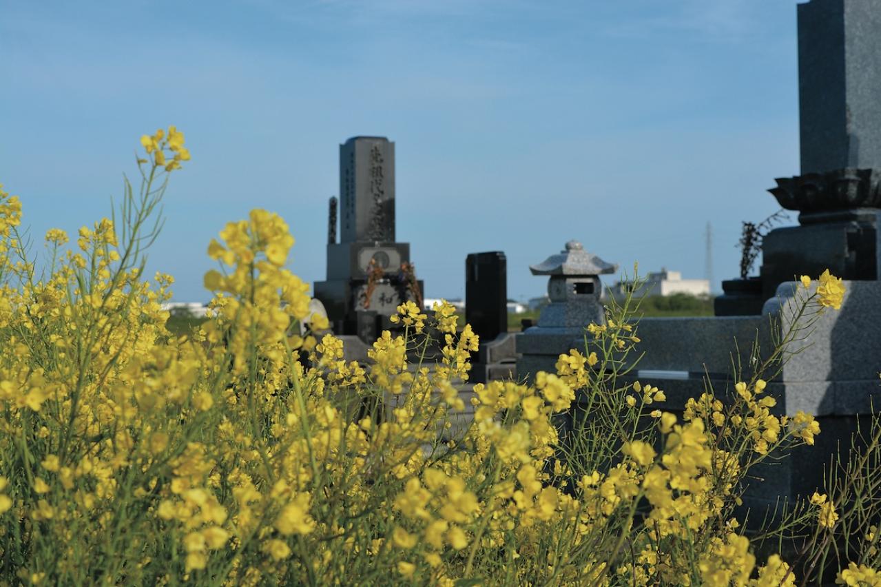 私の実家の墓に入りたいのですが、昔気質の夫に相談できません。【坂東眞理子さん】のすっきり人生相談（画像3）