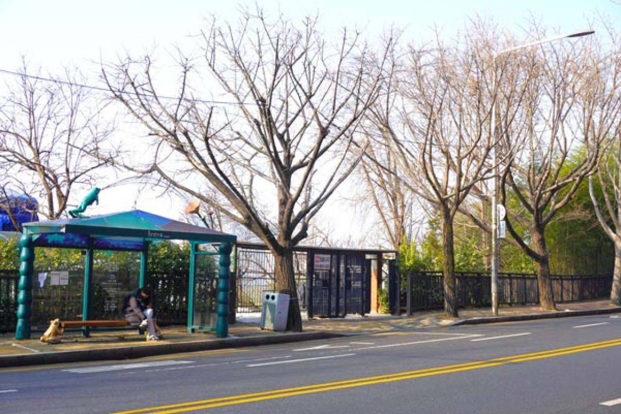 ソウル市内を見下ろせる最高の空間！南山の麓にあるカフェ＆フレグランスショップへ（画像14）