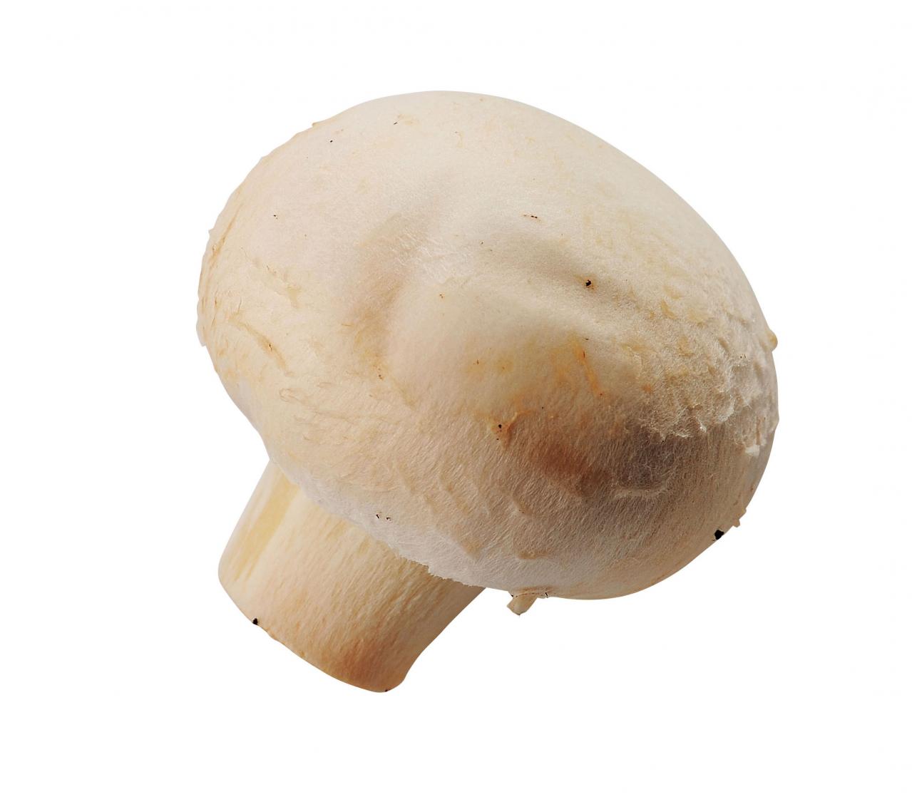 【栄養を捨てない下ごしらえ】きのこは洗う？洗わない？サッと洗ったほうがおいしいきのこも！（画像4）