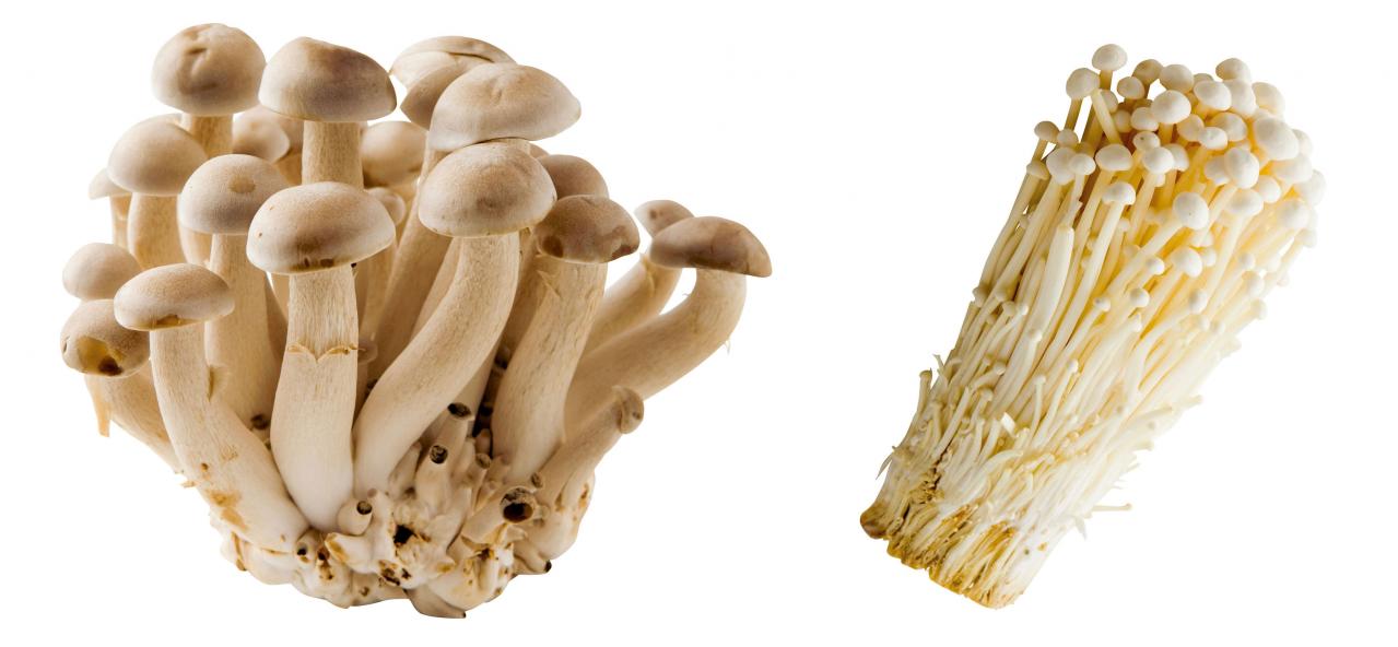 【栄養を捨てない下ごしらえ】きのこは洗う？洗わない？サッと洗ったほうがおいしいきのこも！（画像3）