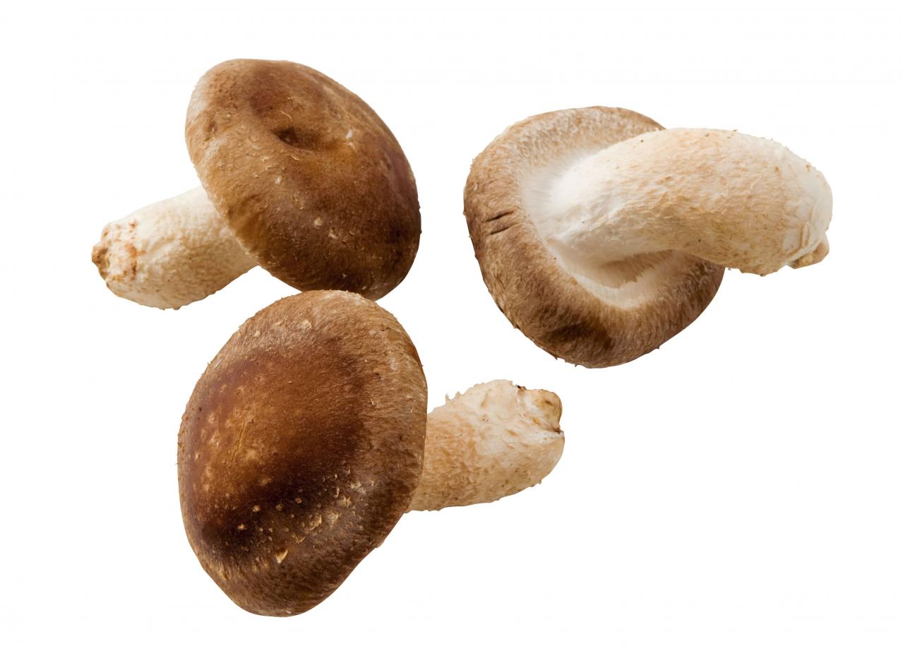 【栄養を捨てない下ごしらえ】きのこは洗う？洗わない？サッと洗ったほうがおいしいきのこも！（画像2）