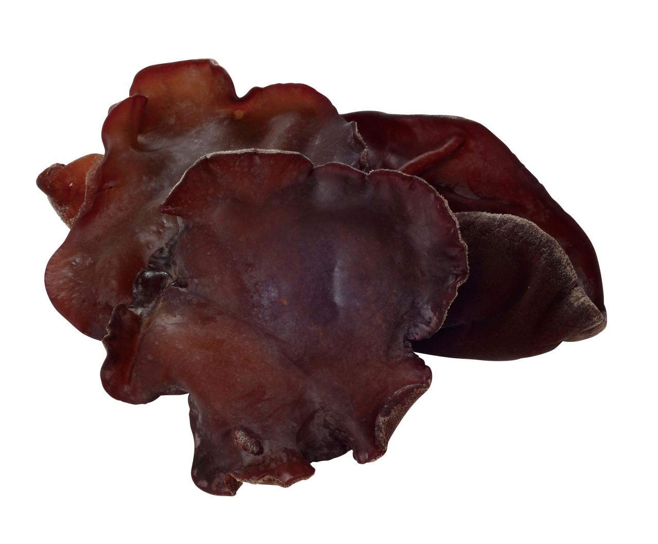 【栄養を捨てない下ごしらえ】きのこは洗う？洗わない？サッと洗ったほうがおいしいきのこも！（画像6）