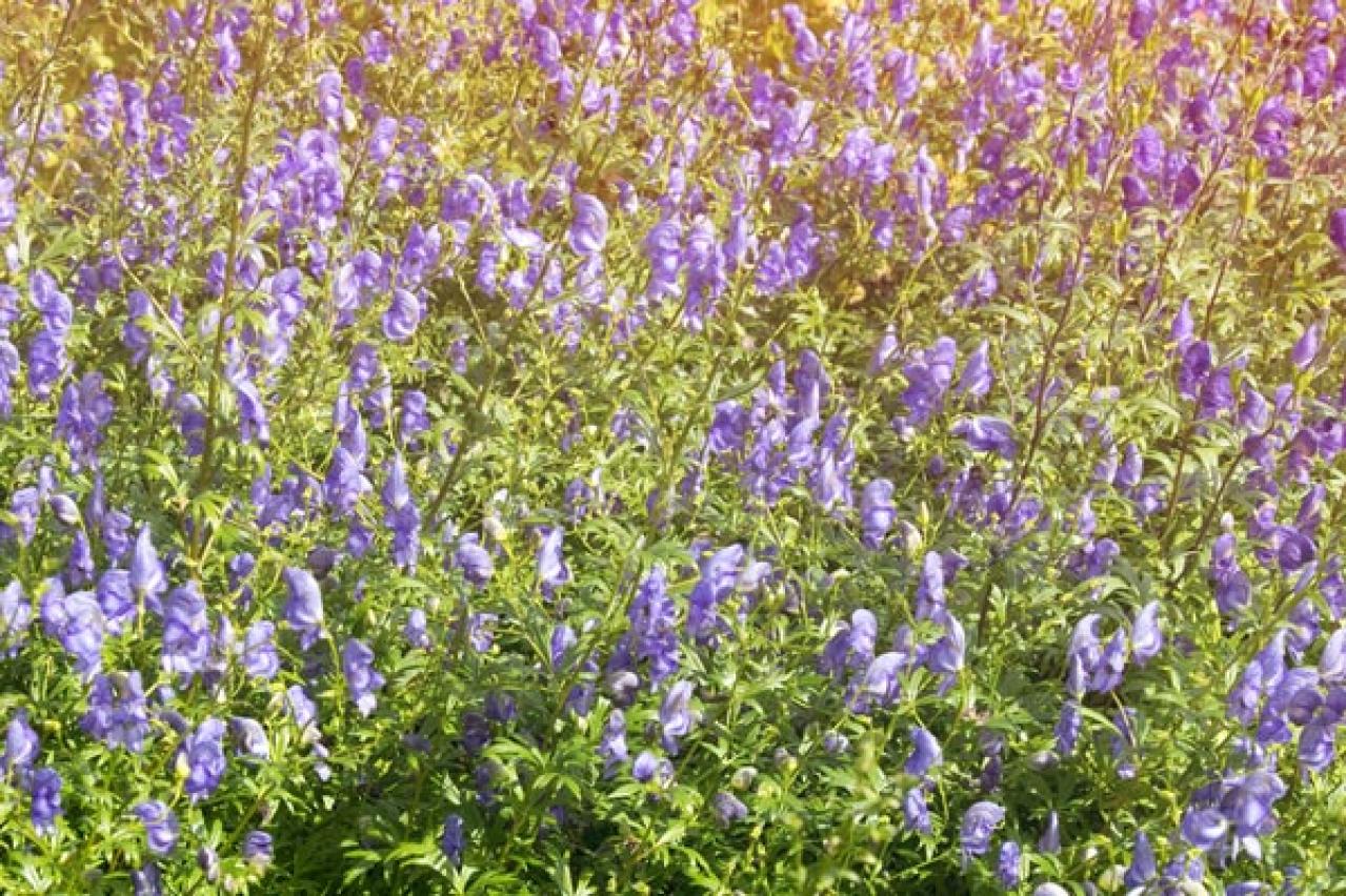 「御史（オサ）とジョイ」　テソ（イ・ジェギュン）の悲哀に満ちた表情が胸に迫る7～8話レビュー【韓国ドラマ】（画像2）