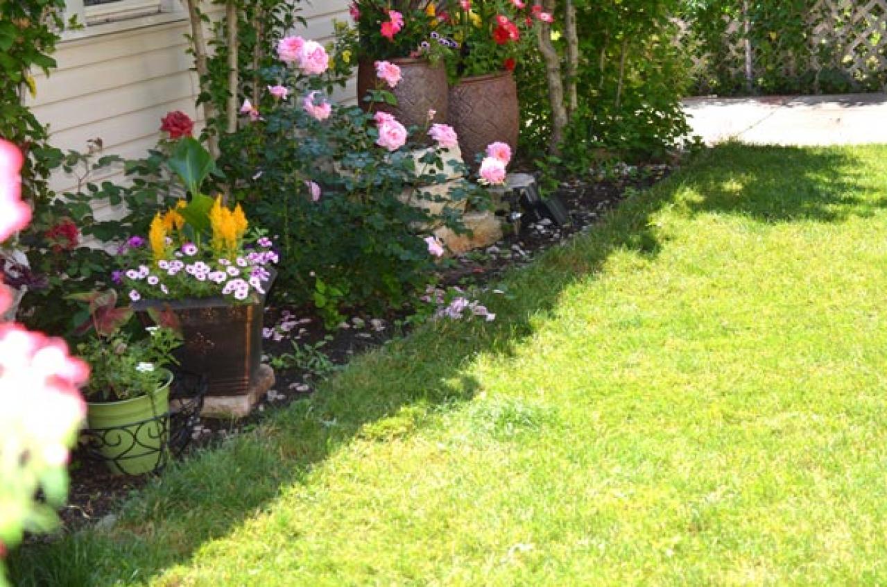 【ガーデニング】2月はバラの冬剪定の季節。剪定・誘引の計画を立て、イメージトレーニングを！（画像5）