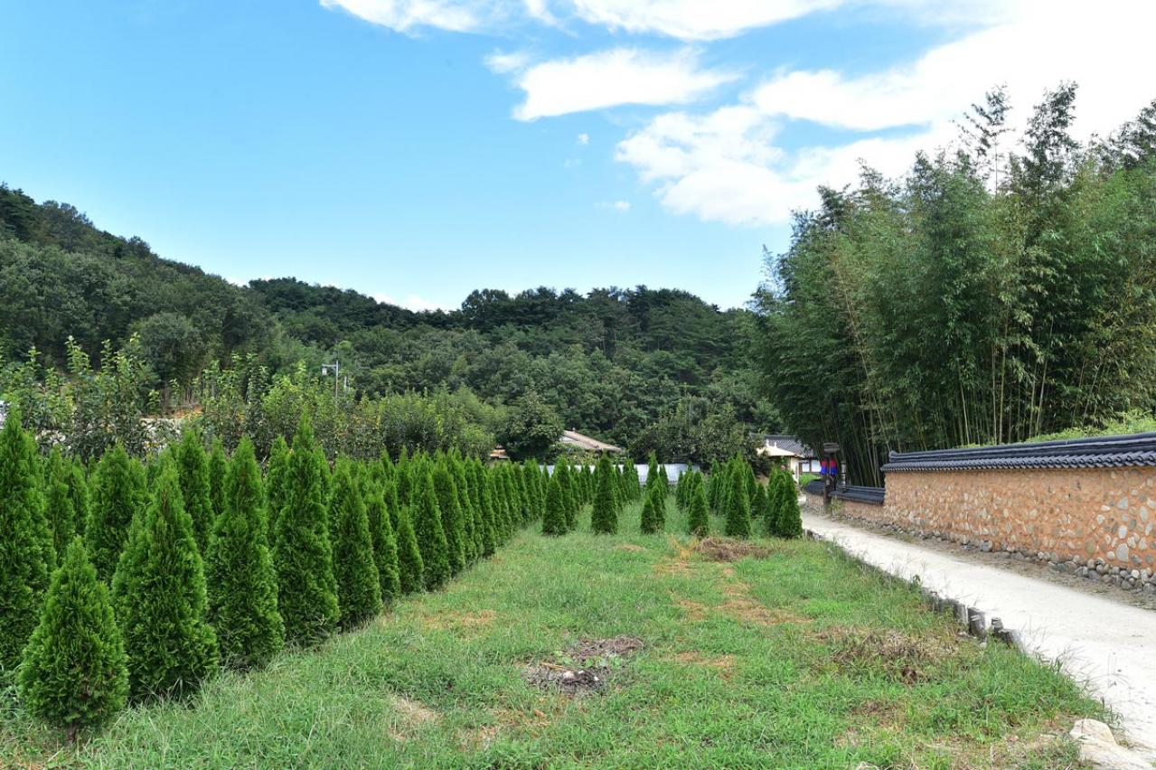 「御史（オサ）とジョイ」　テソ（イ・ジェギュン）の悲哀に満ちた表情が胸に迫る7～8話レビュー【韓国ドラマ】