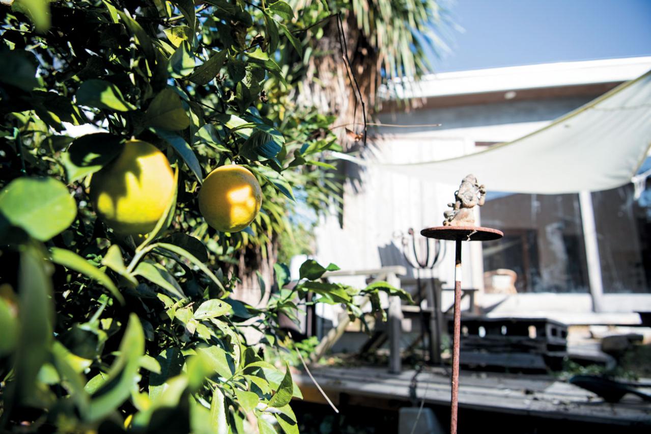 【建築デザイナー・井出しのぶさんのキッチン】ひとり暮らしにちょうどよい設備とは？（画像9）