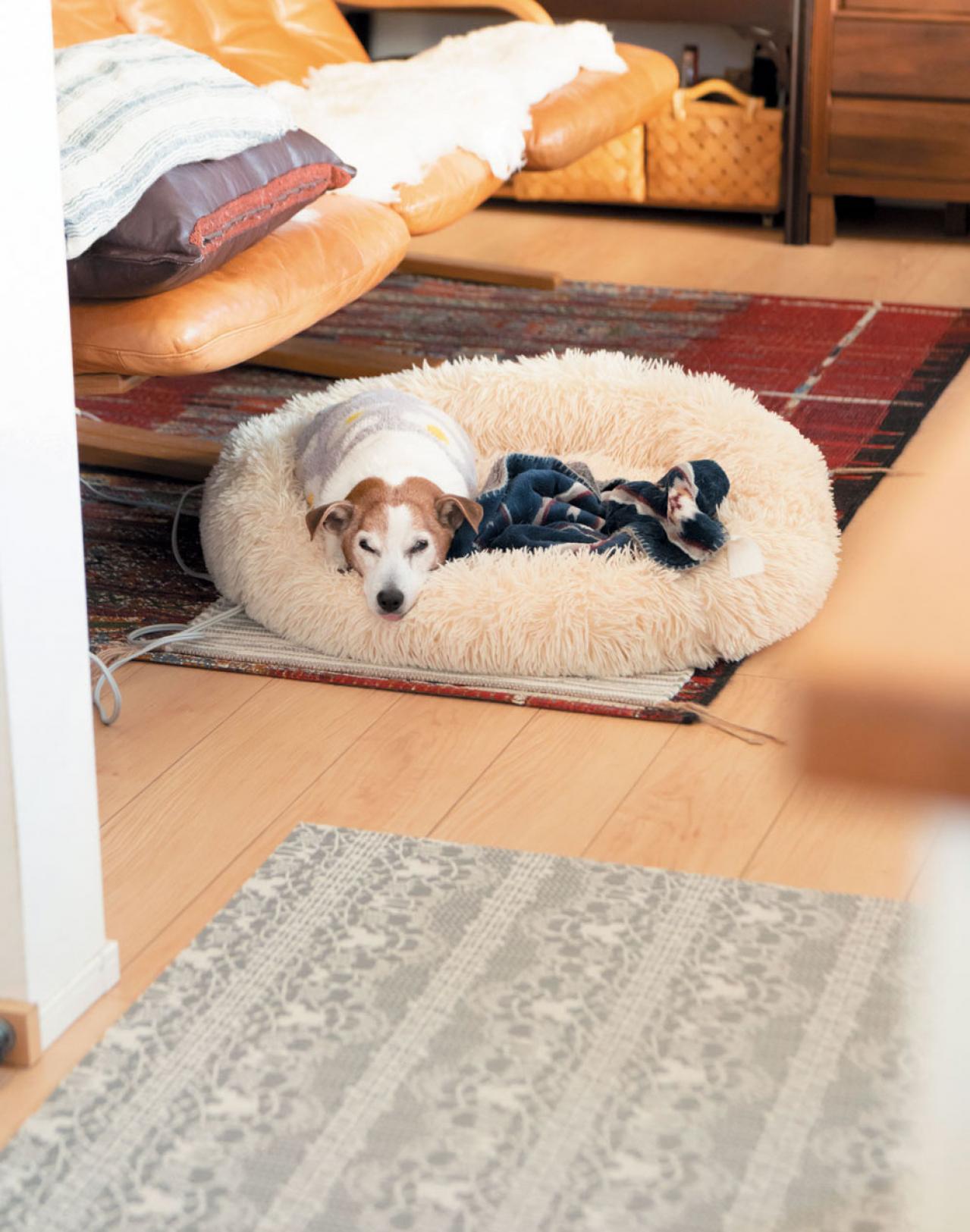 【料理家・五味幹子さんのキッチン拝見】DIYで棚を設置し、ストレスフリーな空間に（画像2）