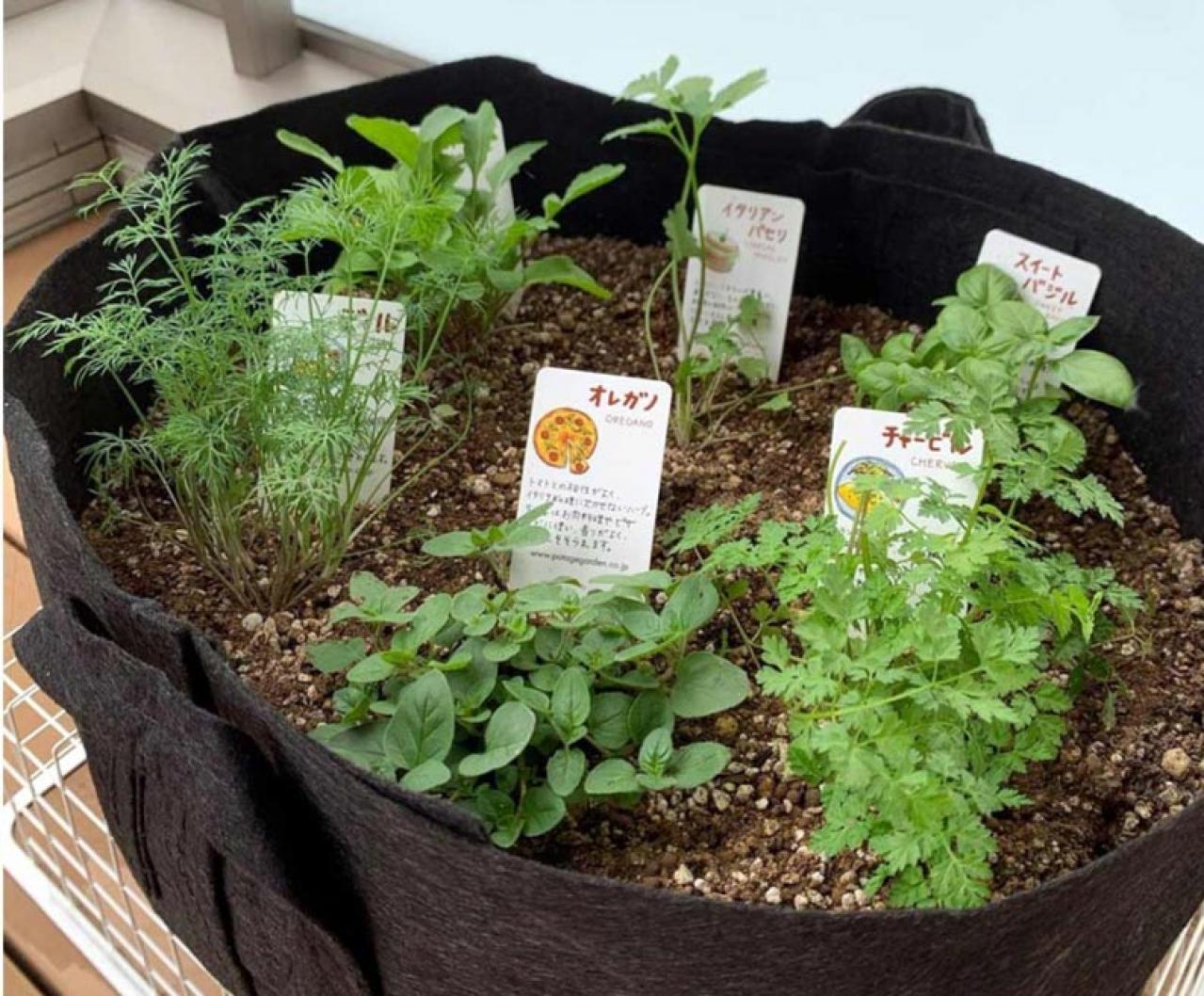 ハーブ研究家 小早川愛さんのお取り寄せ【ハーブシロップとハーブ栽培キット】アストロロジー クラフトとポタジェガーデン（画像4）