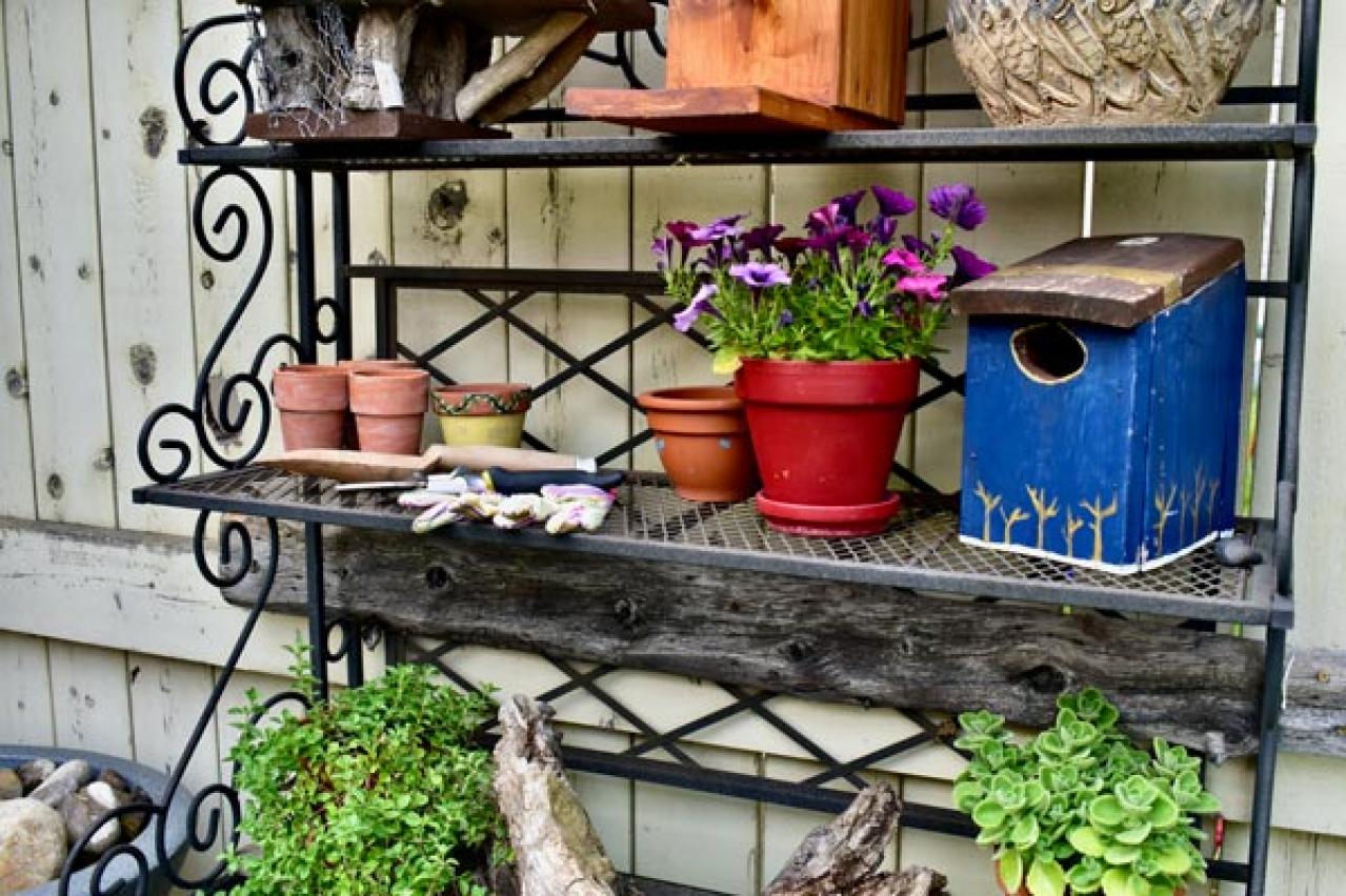 【ガーデニング】素朴で愛らしい［春の山野草10選］初心者にも（画像18）