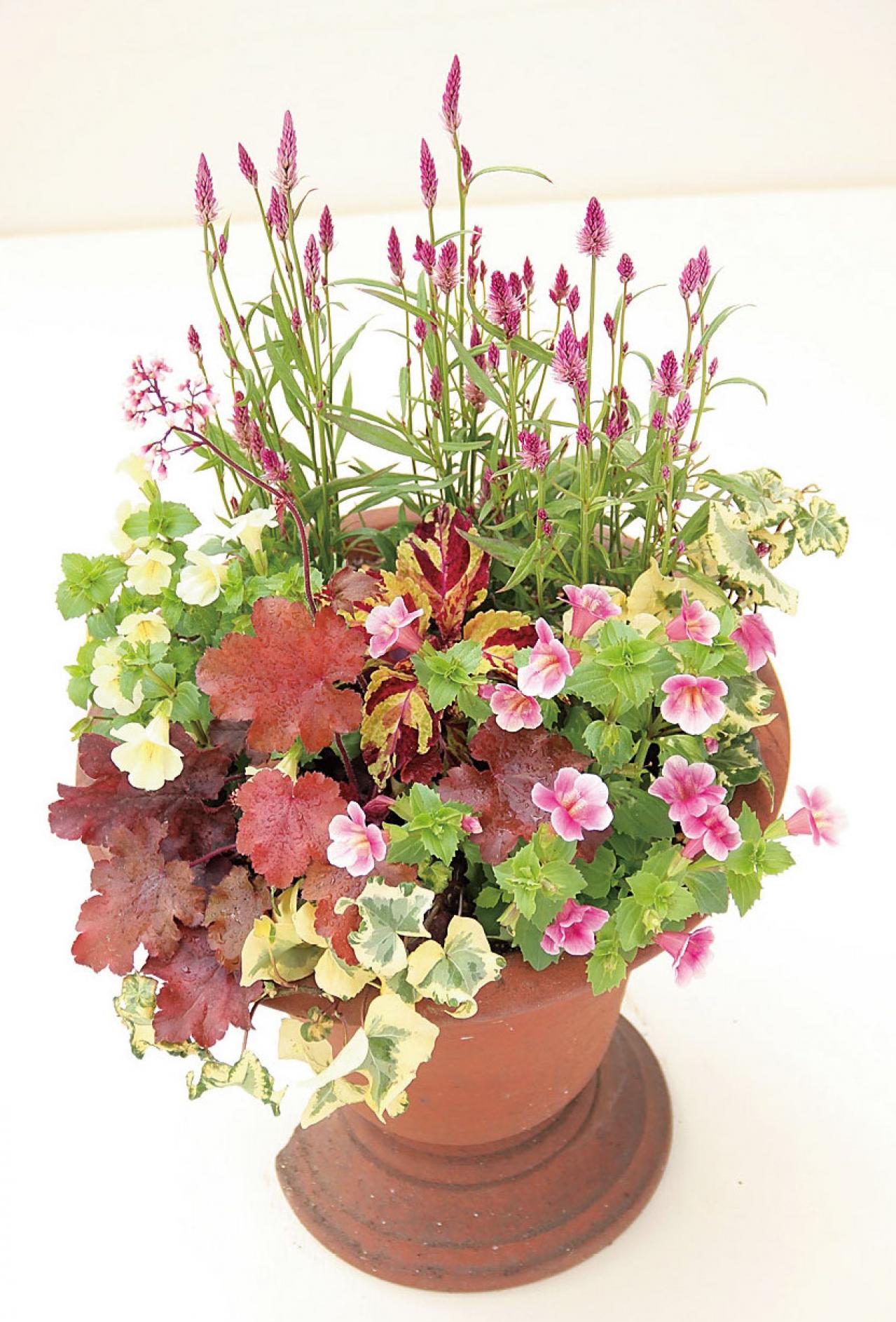 【ガーデニング】失敗しない植物の形の組み合わせ方は？ 吉谷桂子さんの寄せ植えQ&A（画像4）