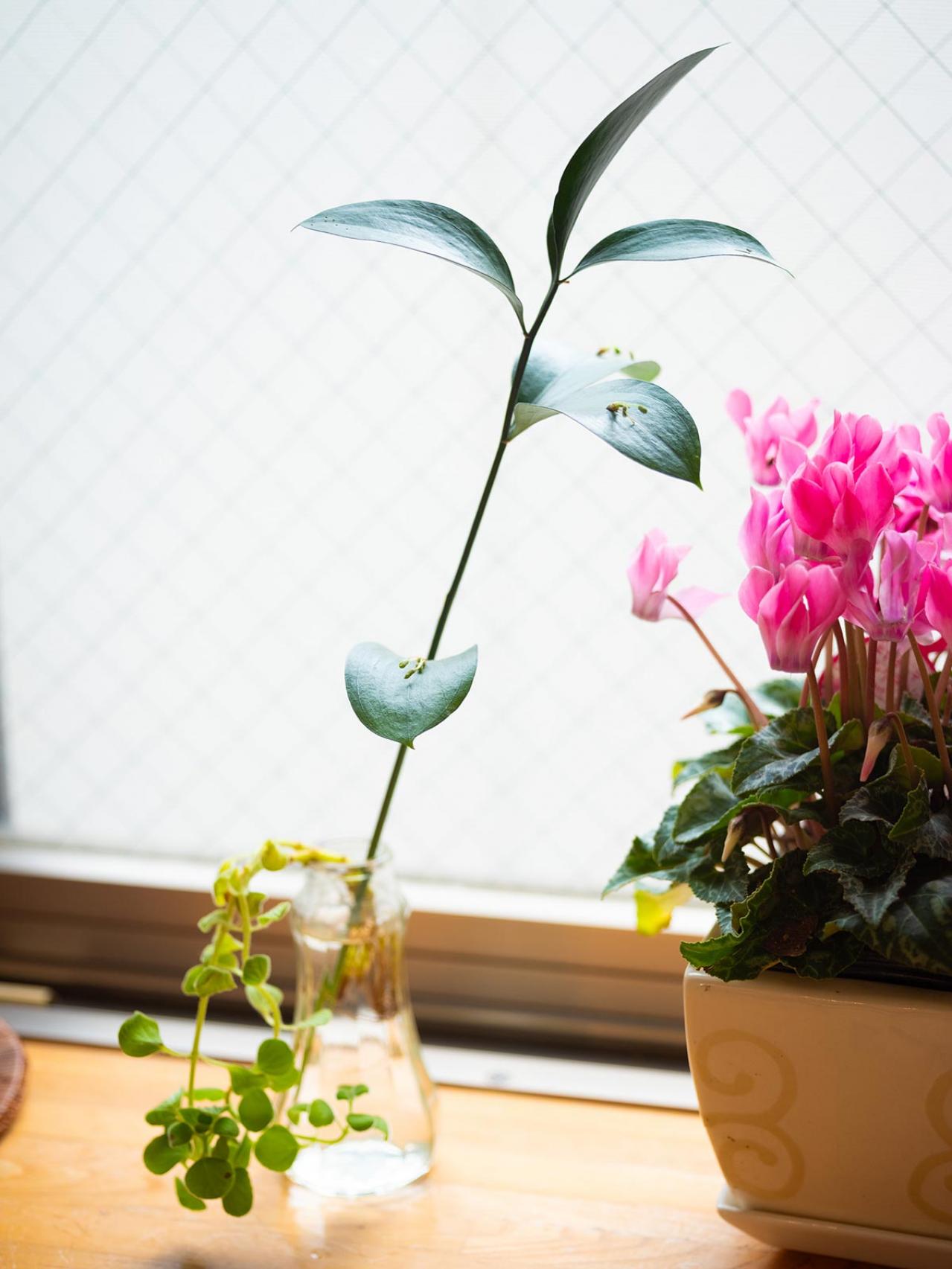 長年続けてきた仕事を“卒業”したショコラさん。暮らしはどう変わった？（画像3）