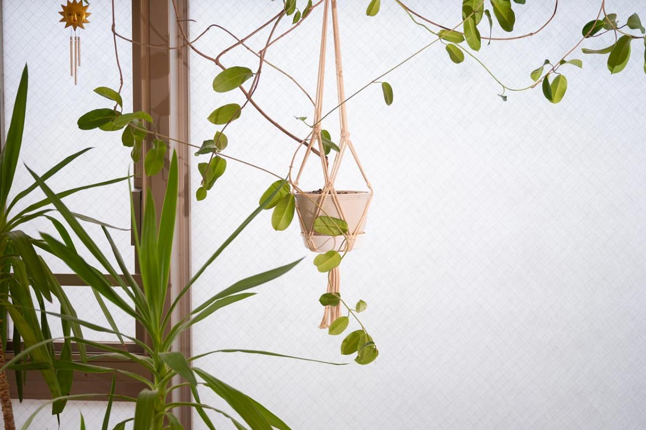 長年続けてきた仕事を“卒業”したショコラさん。暮らしはどう変わった？（画像4）