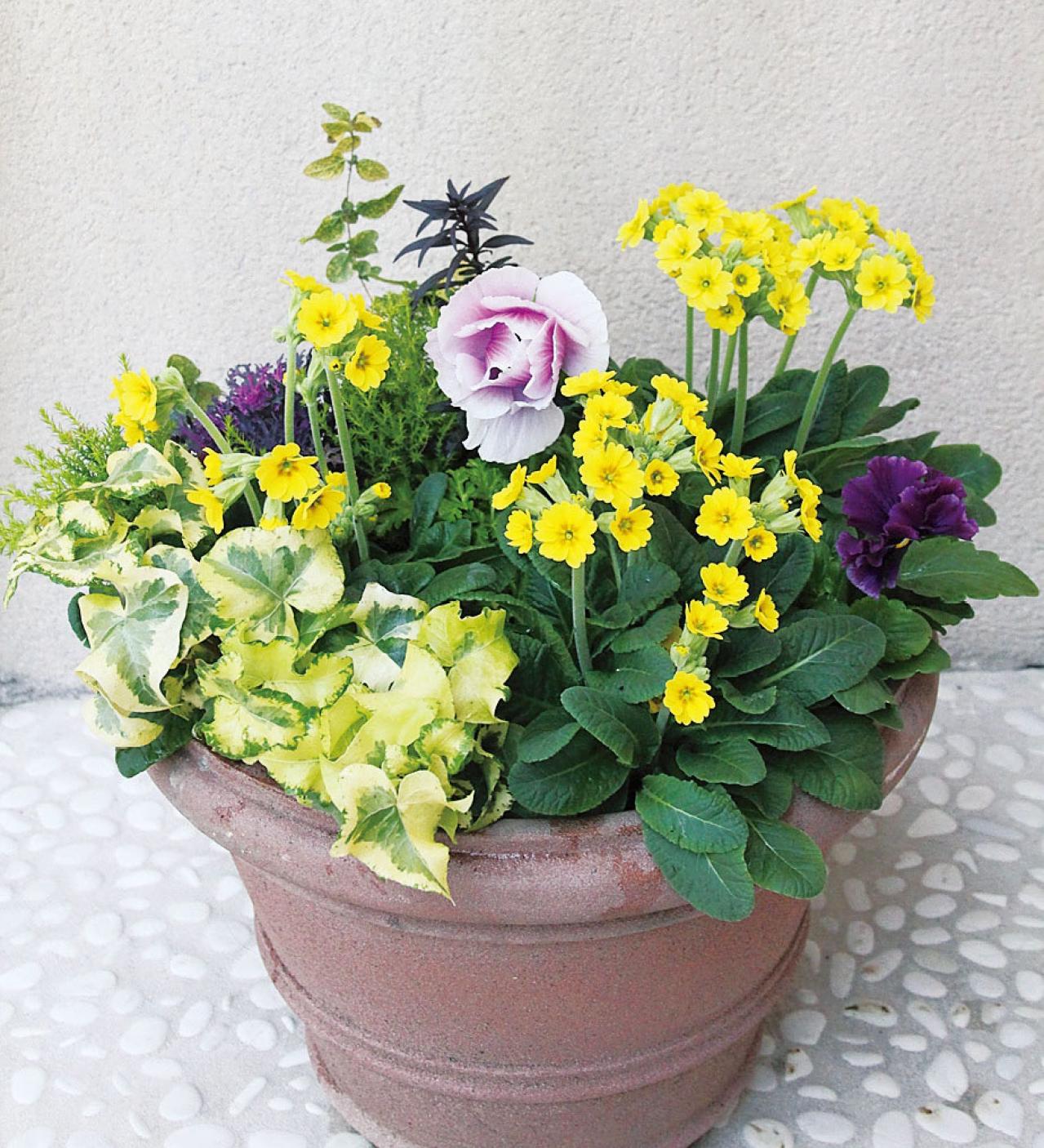 【ガーデニング】失敗しない植物の形の組み合わせ方は？ 吉谷桂子さんの寄せ植えQ&A（画像2）