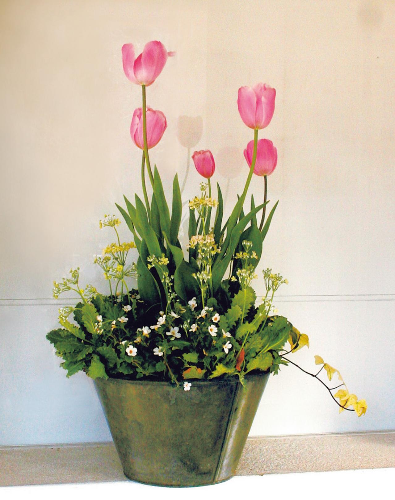 【ガーデニング】どんな花でも素敵に見える鉢は？ 吉谷桂子さんの寄せ植えQ&A（画像4）