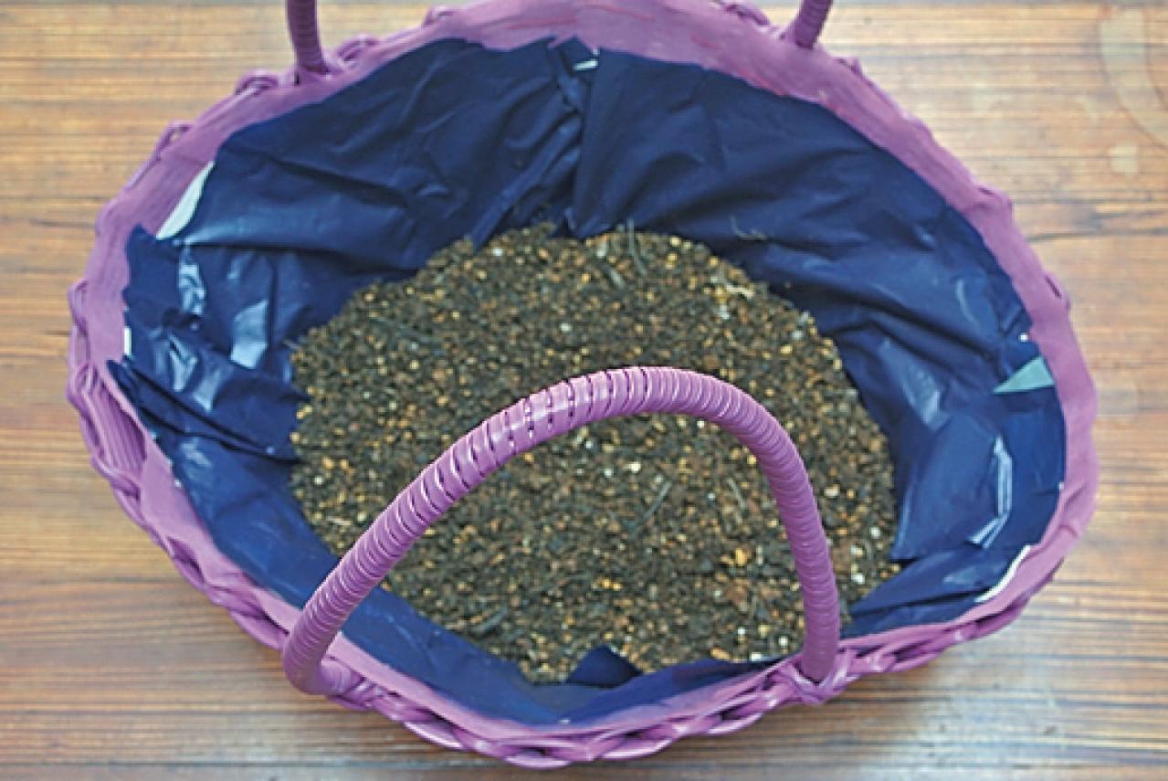 【ガーデニング】どんな花でも素敵に見える鉢は？ 吉谷桂子さんの寄せ植えQ&A（画像3）