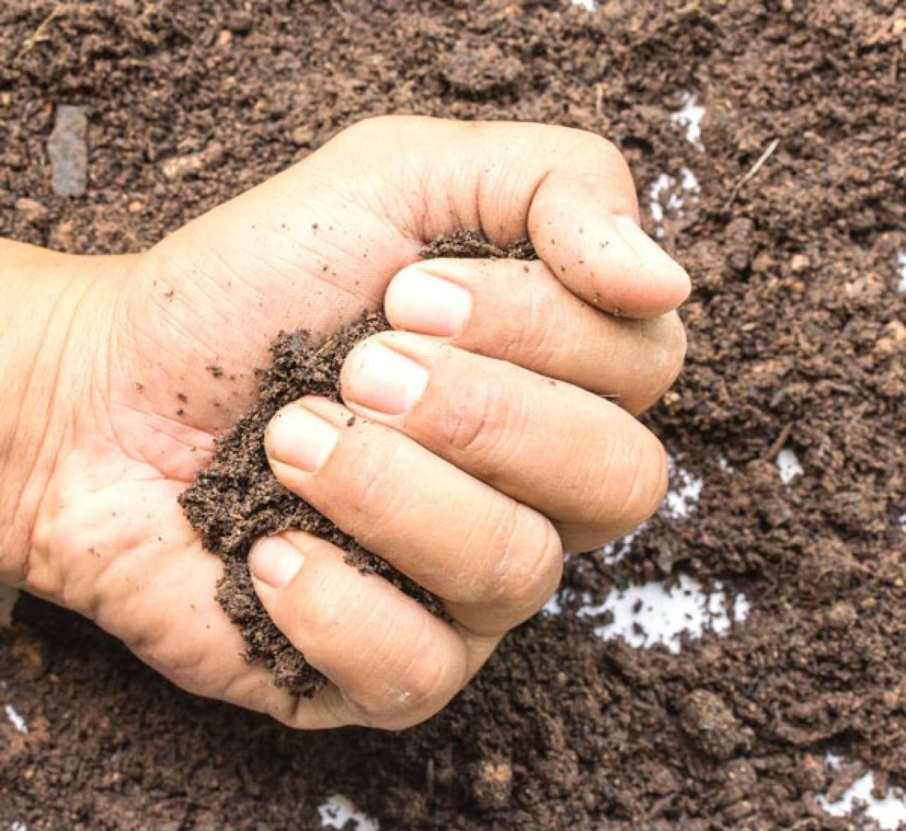 【ガーデニング】鉢植えは土が決め手。見違えるように花が咲く！用土の基礎知識（画像5）