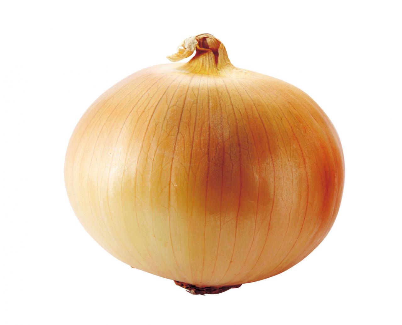 「玉ねぎの切り方で栄養が激変！？」今日からできる“もったいない”を防ぐ下ごしらえ（画像2）