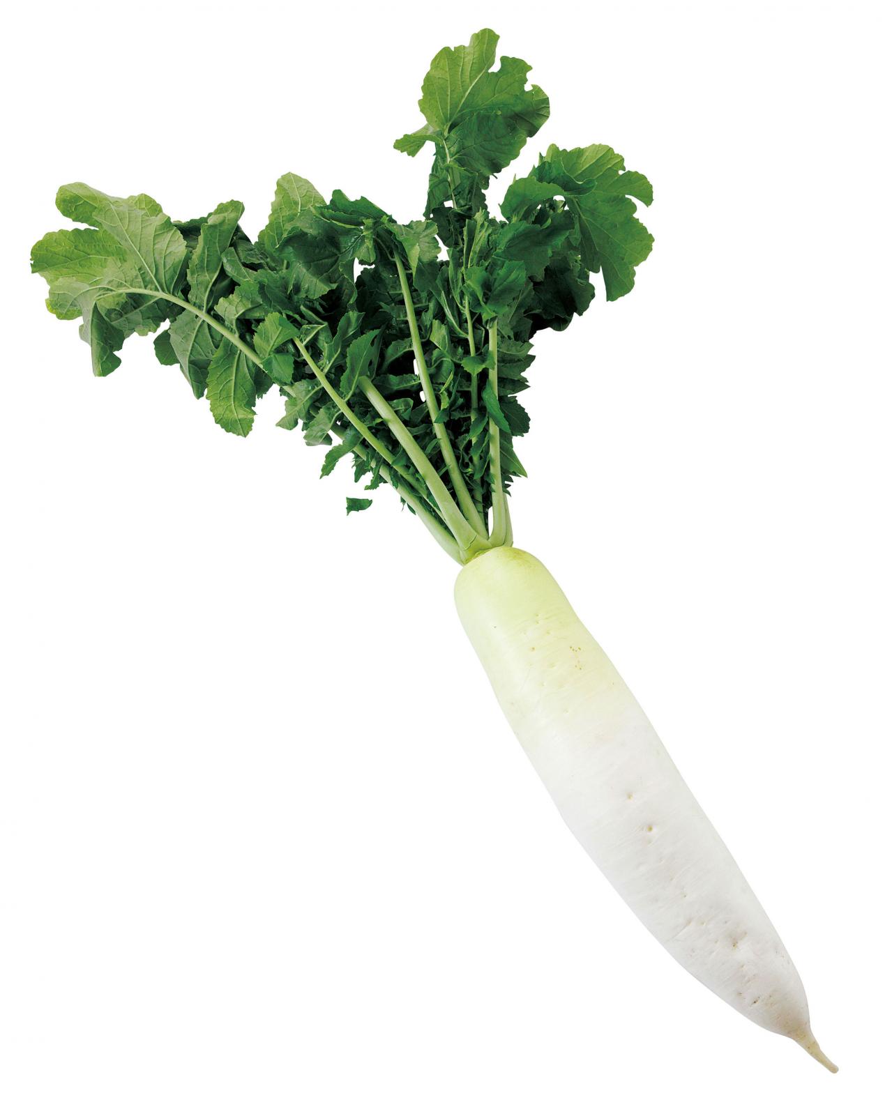 【大根おろし】はおろして何分以内に食べるといい？栄養をムダにしない食べ方（画像2）