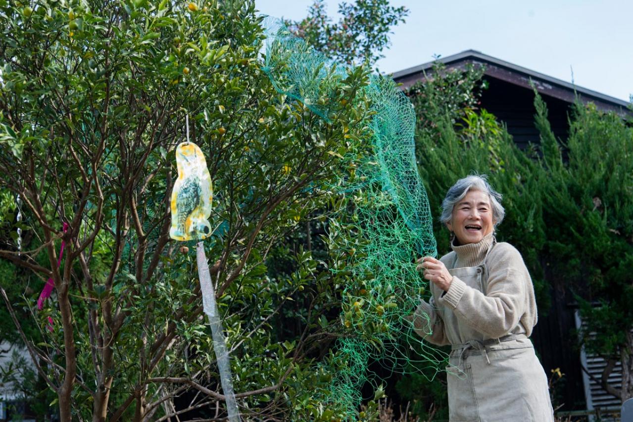 元ミス日本 伊藤千桃さんの春を待つ葉山での暮らし「庭の金柑から作る甘露煮が楽しみです」