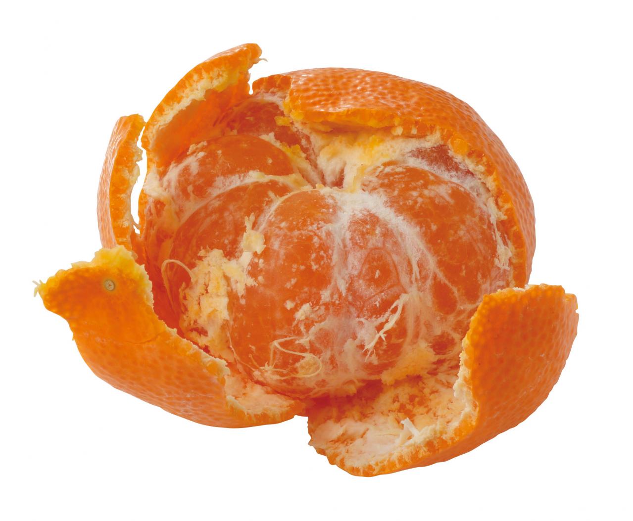 見逃せない！とうもろこしのひげの栄養価と、美味しく飲めるコーン茶の作り方（画像5）