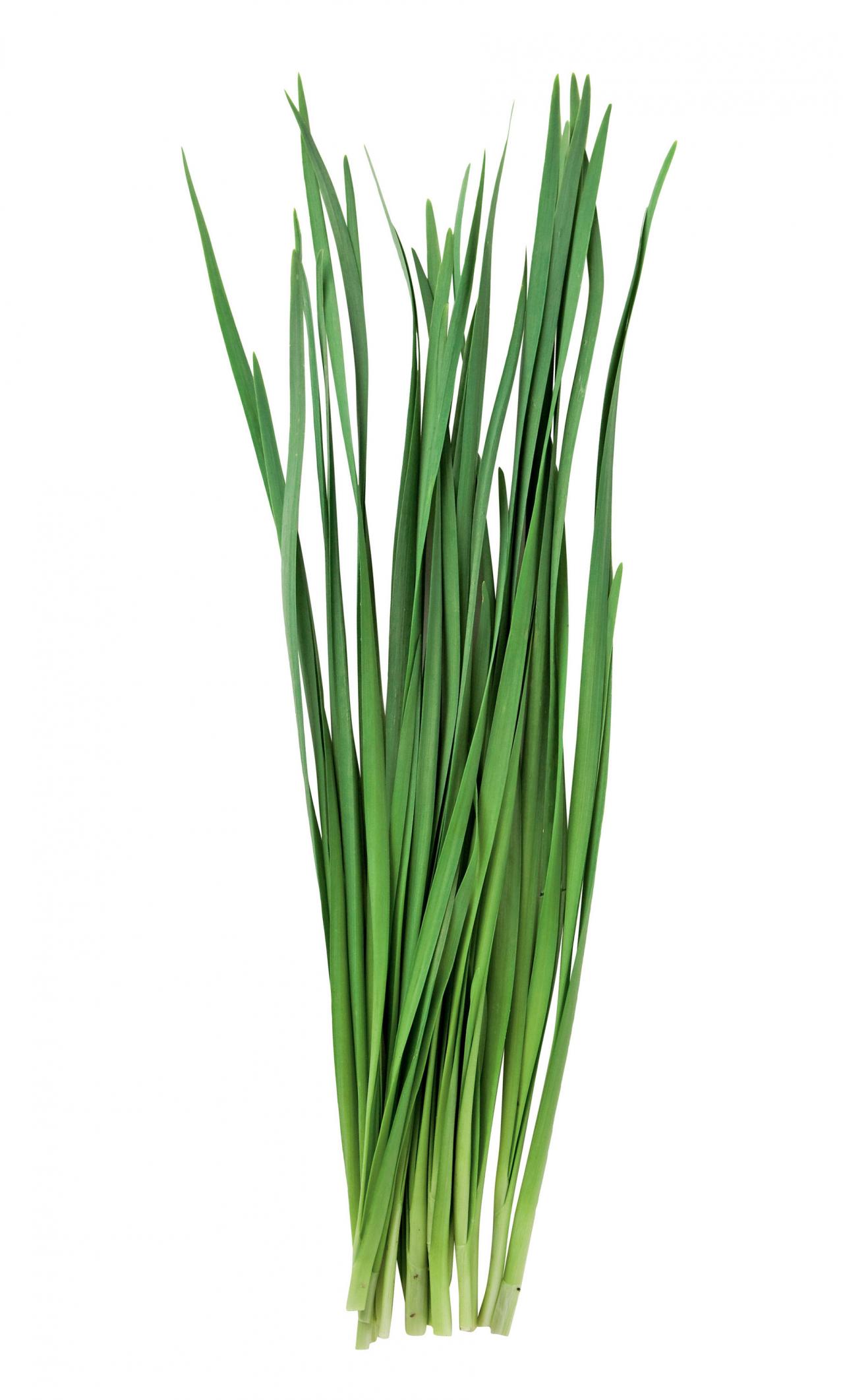 にらの栄養が出ていくのを防ぐ切り方とは？【栄養を捨てない下ごしらえ】（画像2）