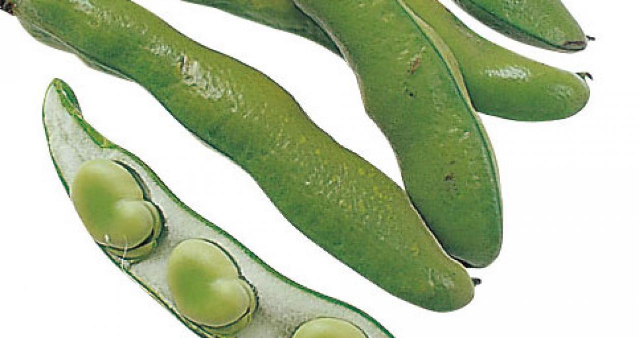 見逃せない！とうもろこしのひげの栄養価と、美味しく飲めるコーン茶の作り方（画像3）