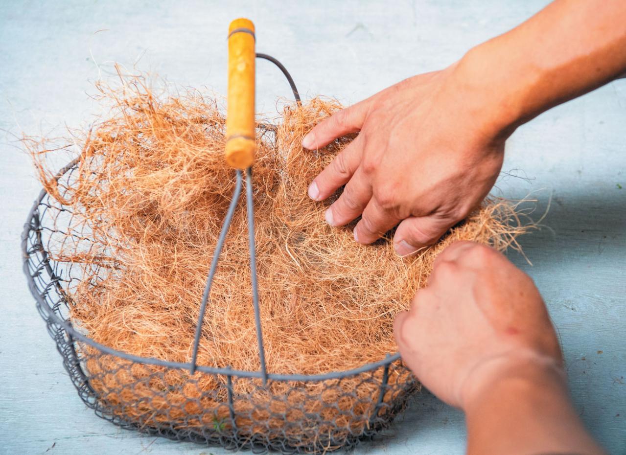 【ガーデニング】フローラ黒田園芸・黒田健太郎さんの春の寄せ植えレッスン（画像5）