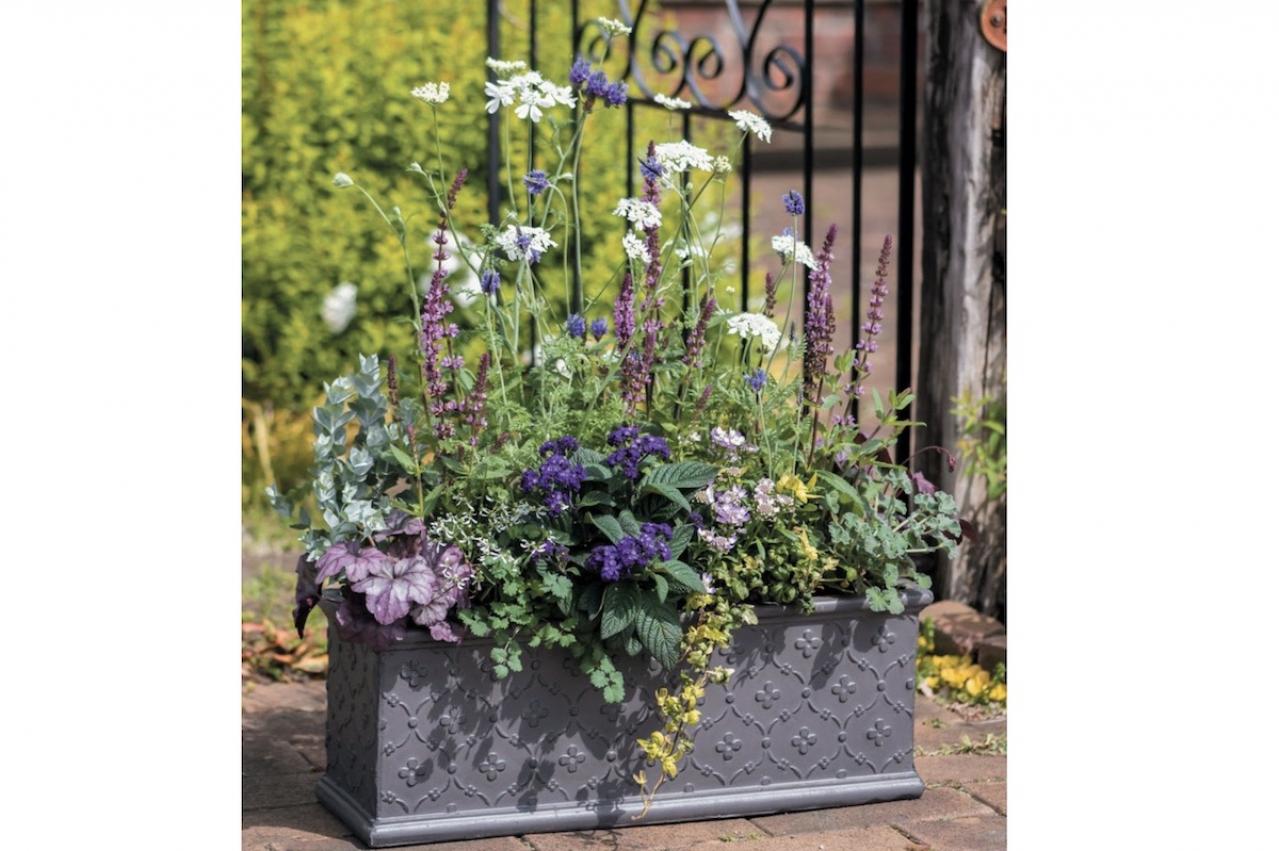 【ガーデニング】フローラ黒田園芸・黒田健太郎さんの春の寄せ植えレッスン