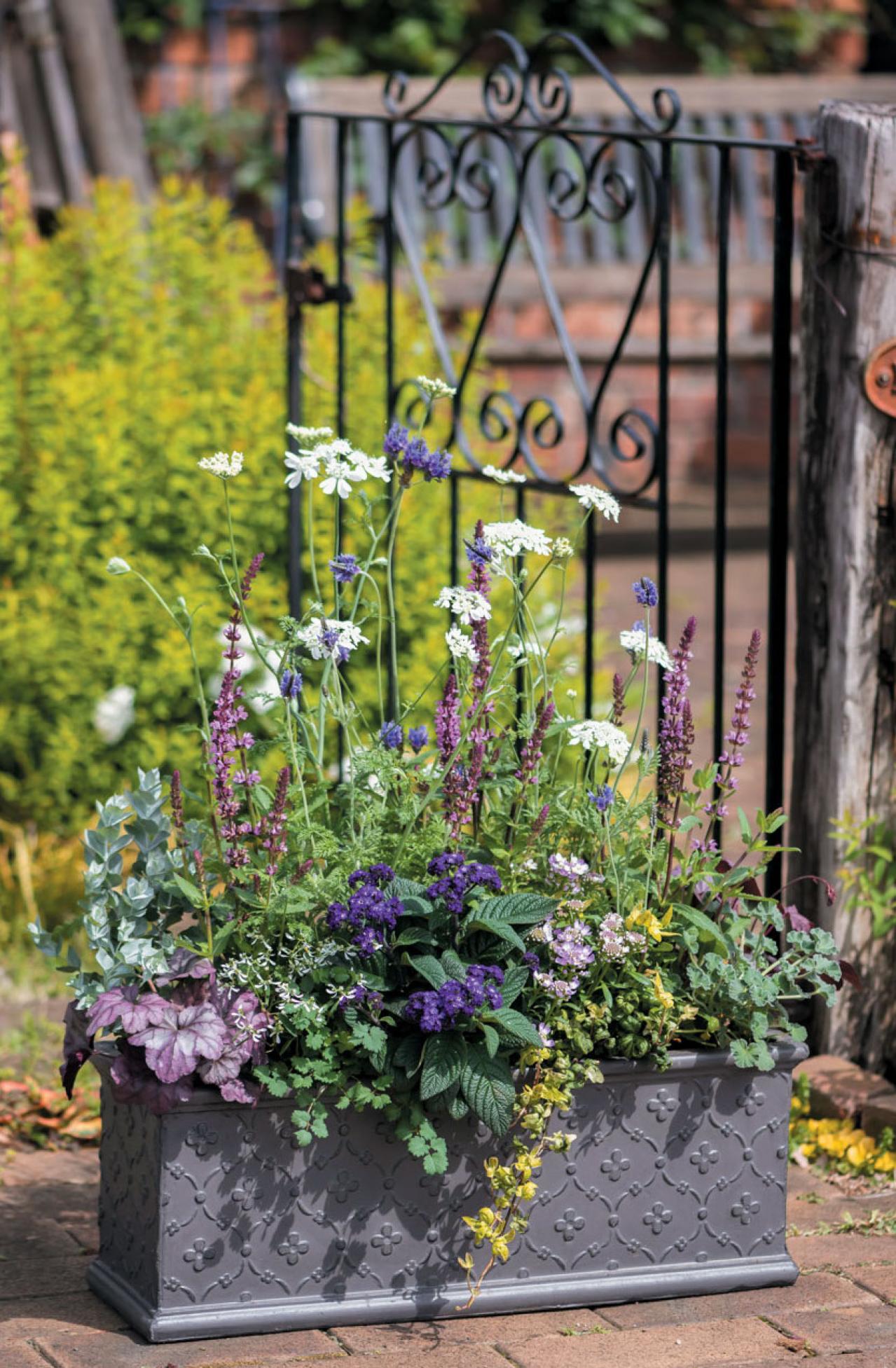 【ガーデニング】フローラ黒田園芸・黒田健太郎さんの春の寄せ植えレッスン（画像6）