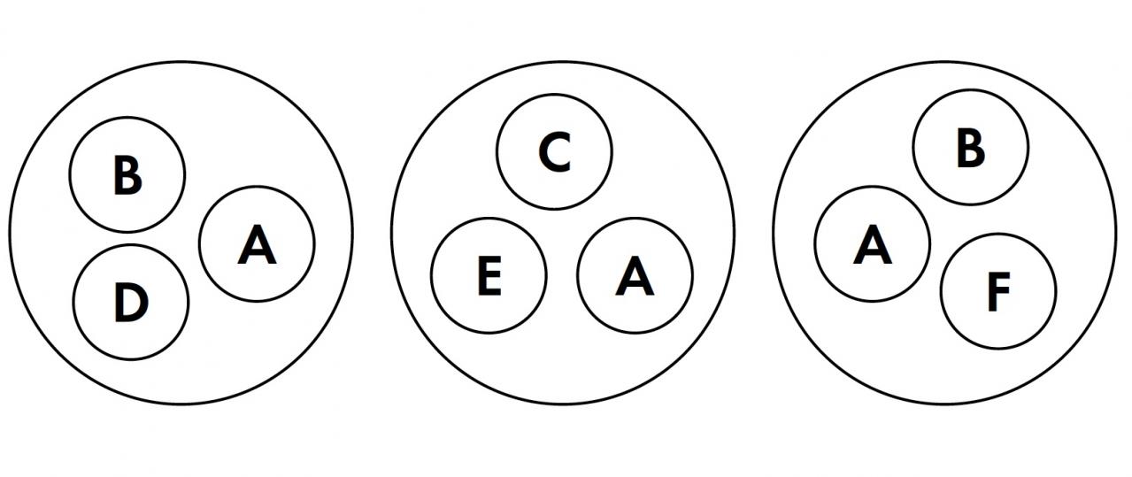 【ガーデニング】フローラ黒田園芸・黒田健太郎さんの春の寄せ植えレッスン（画像11）
