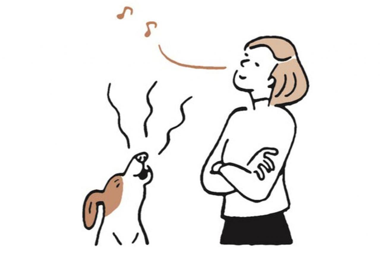 知ってる？犬が飼い主の歌に合わせて遠吠えする理由