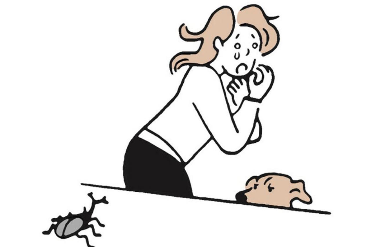 飼い主が苦手なものは犬も苦手？犬が抱える複雑なホンネをひも解く